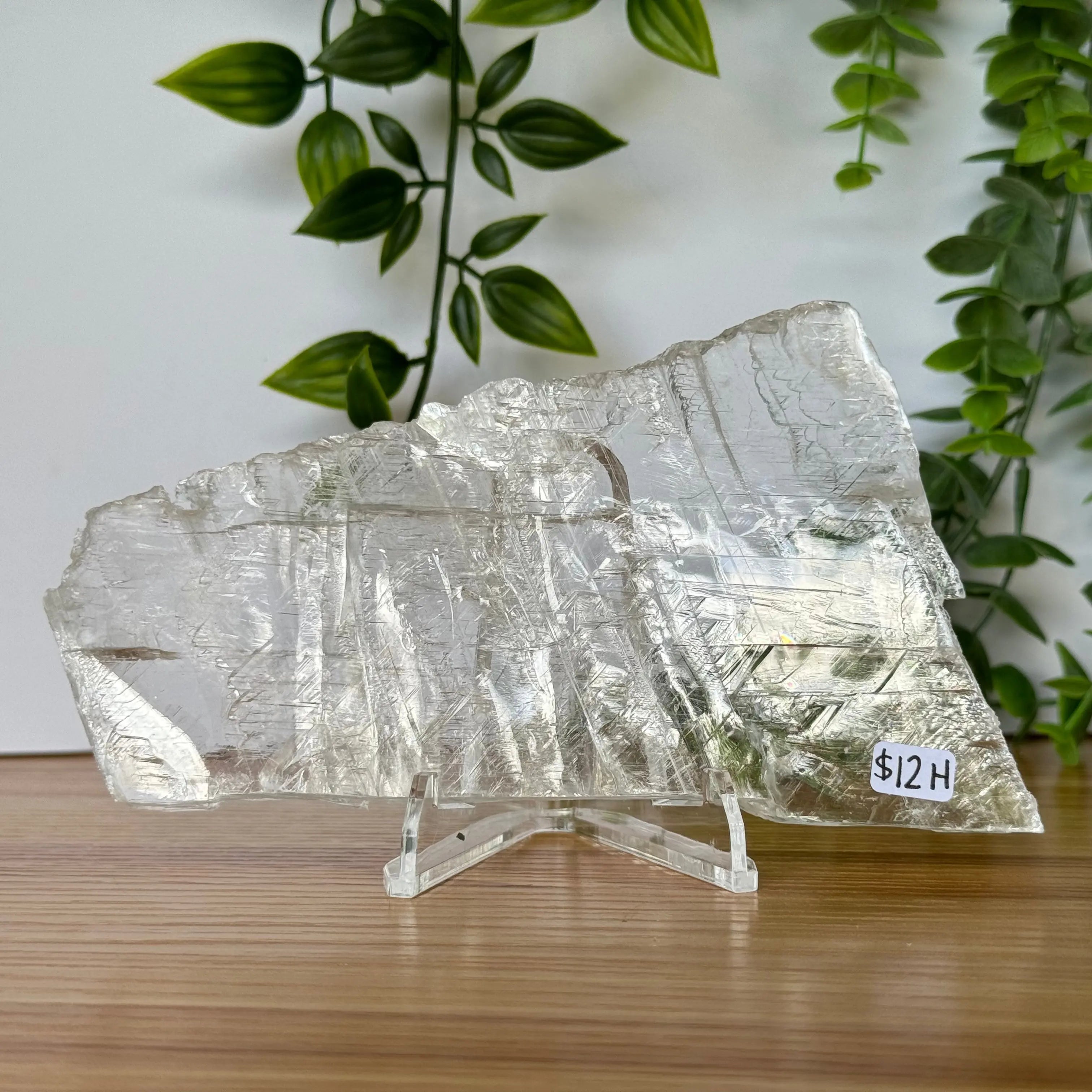 Selenite Slice Arabella Crystals