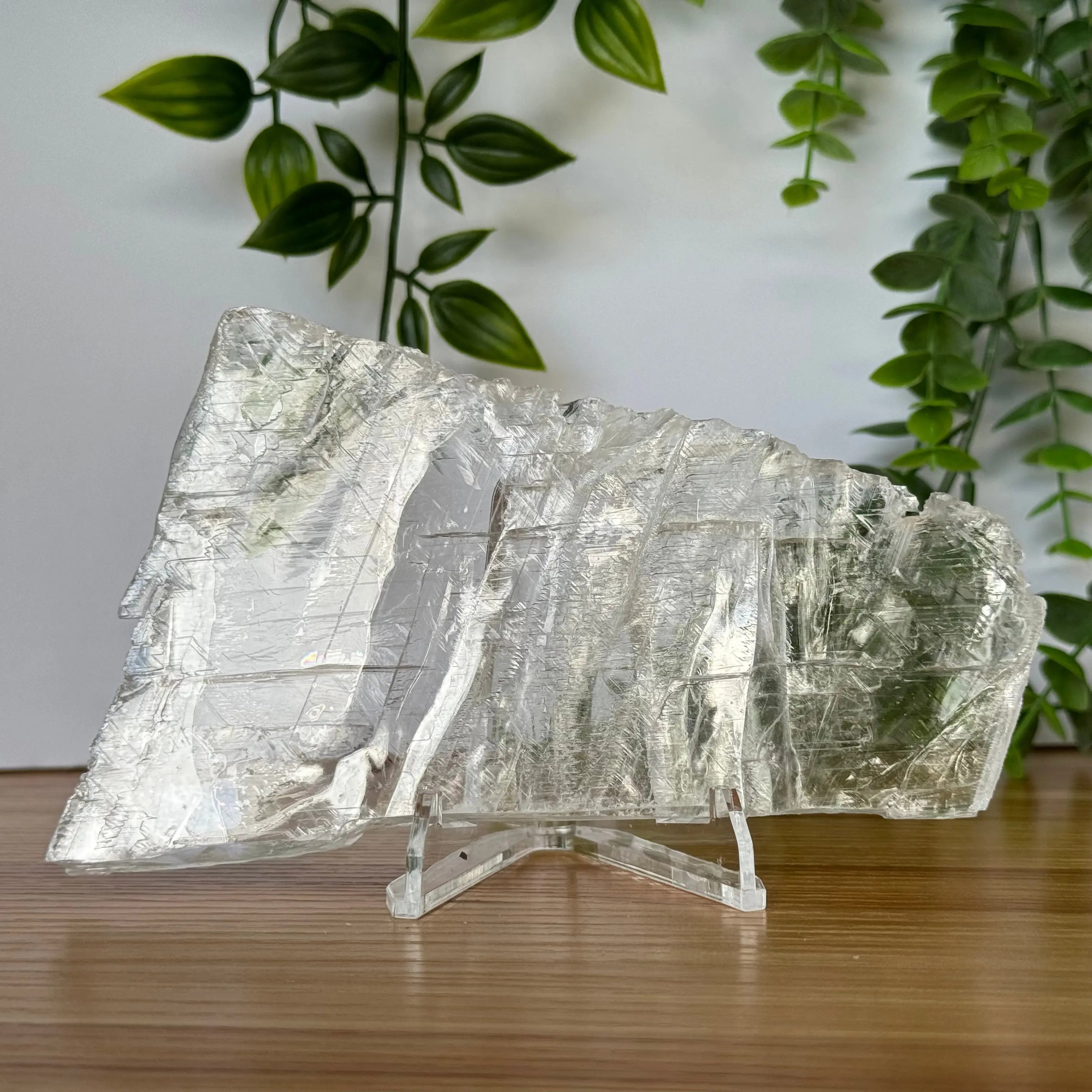 Selenite Slice Arabella Crystals