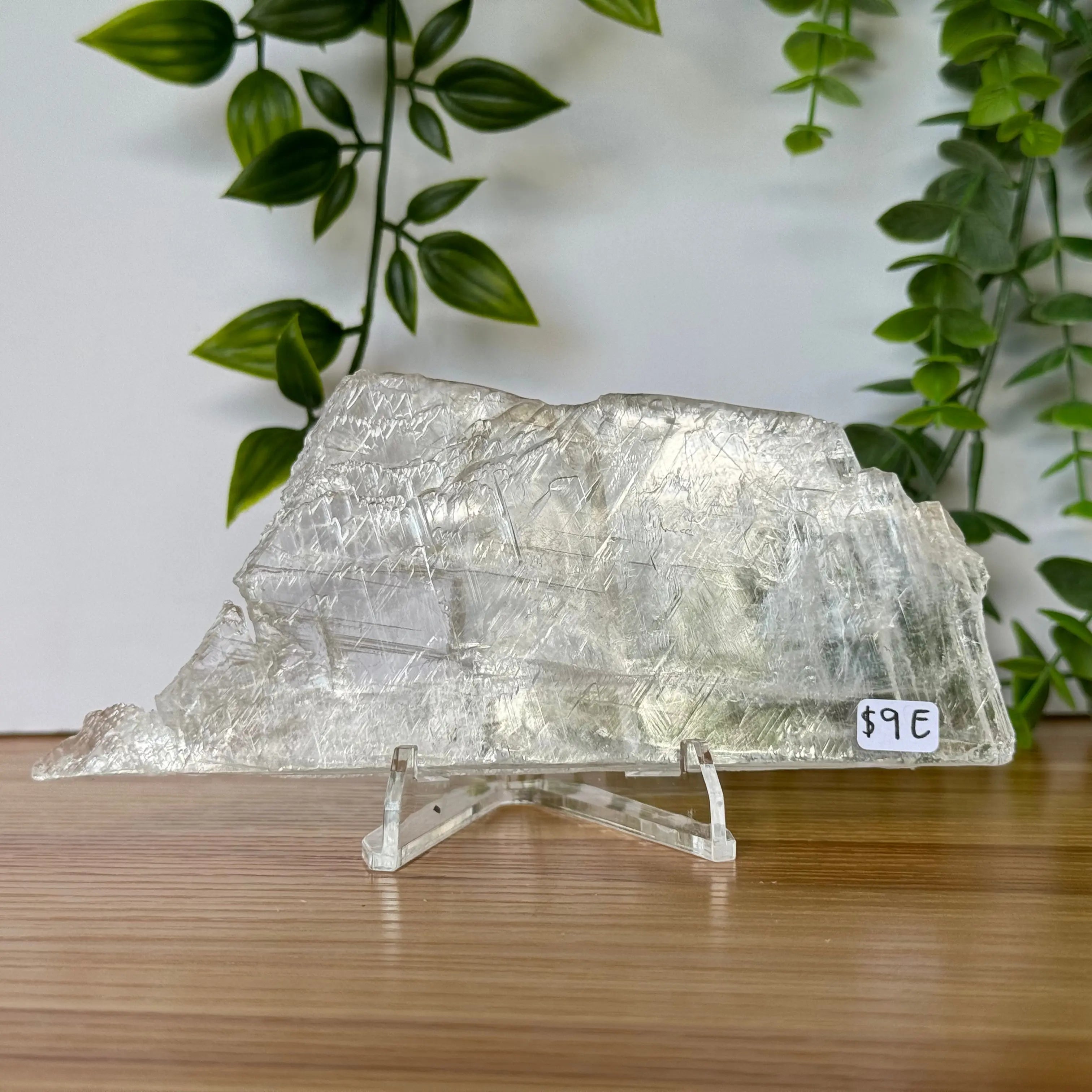 Selenite Slice Arabella Crystals
