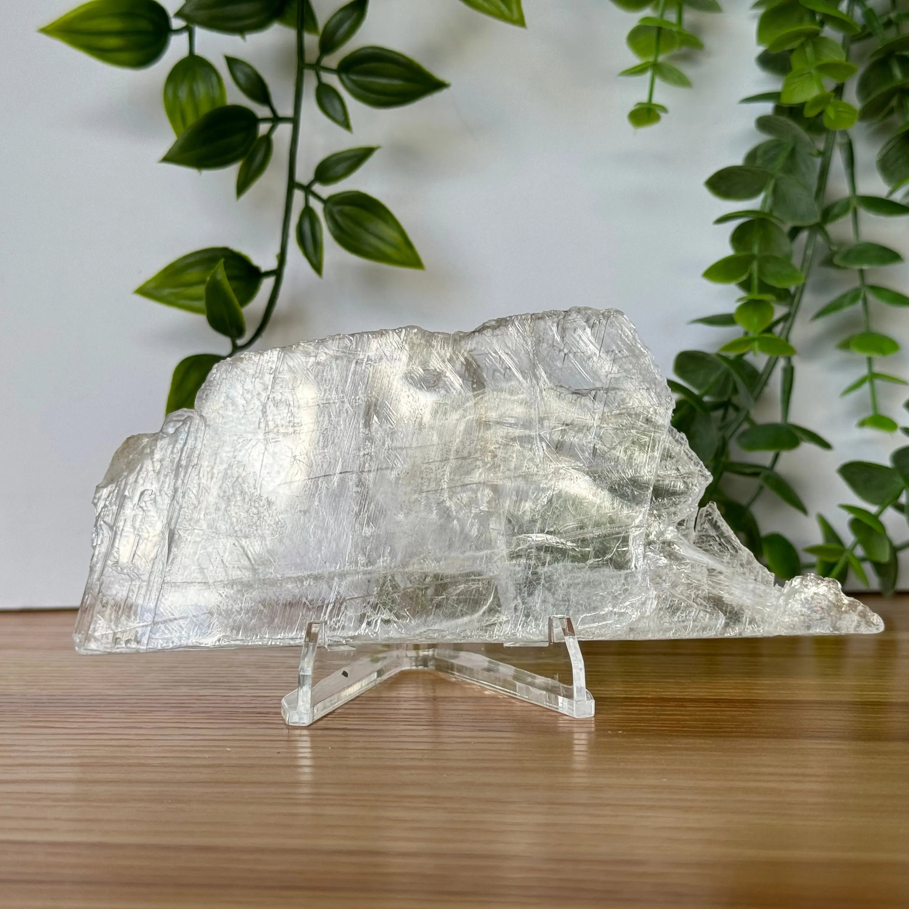 Selenite Slice Arabella Crystals