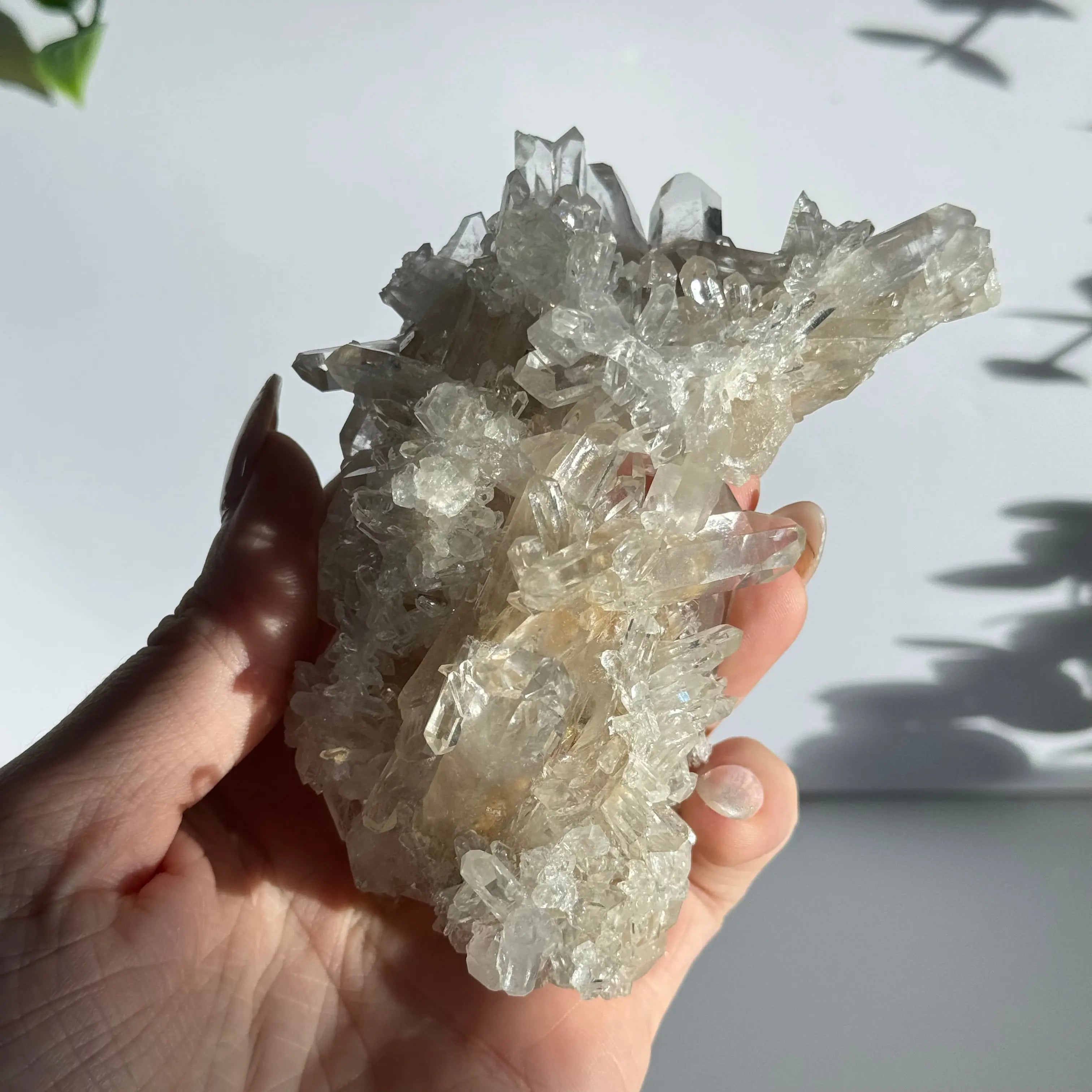 Arkansas Clear Quartz Cluster Arabella Crystals