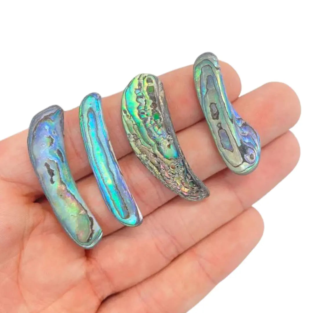 Abalone Shell Pocket Shell Arabella Crystals