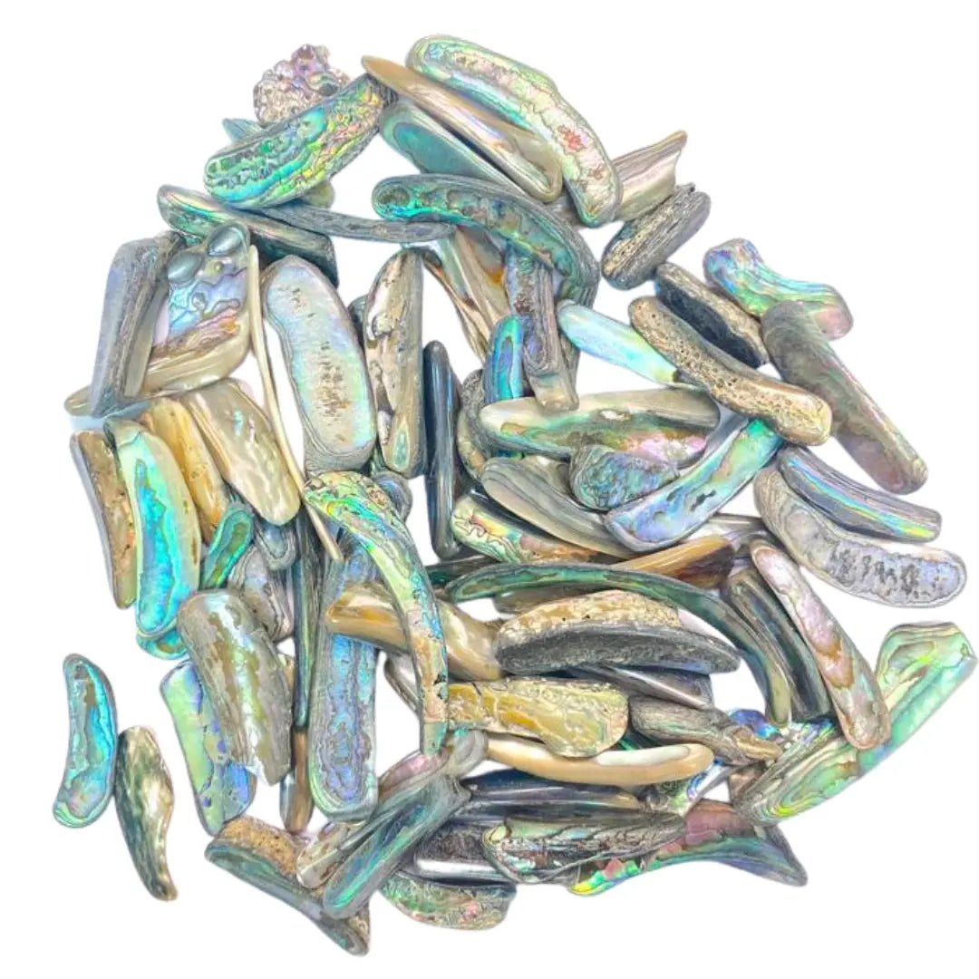 Abalone Shell Pocket Shell Arabella Crystals