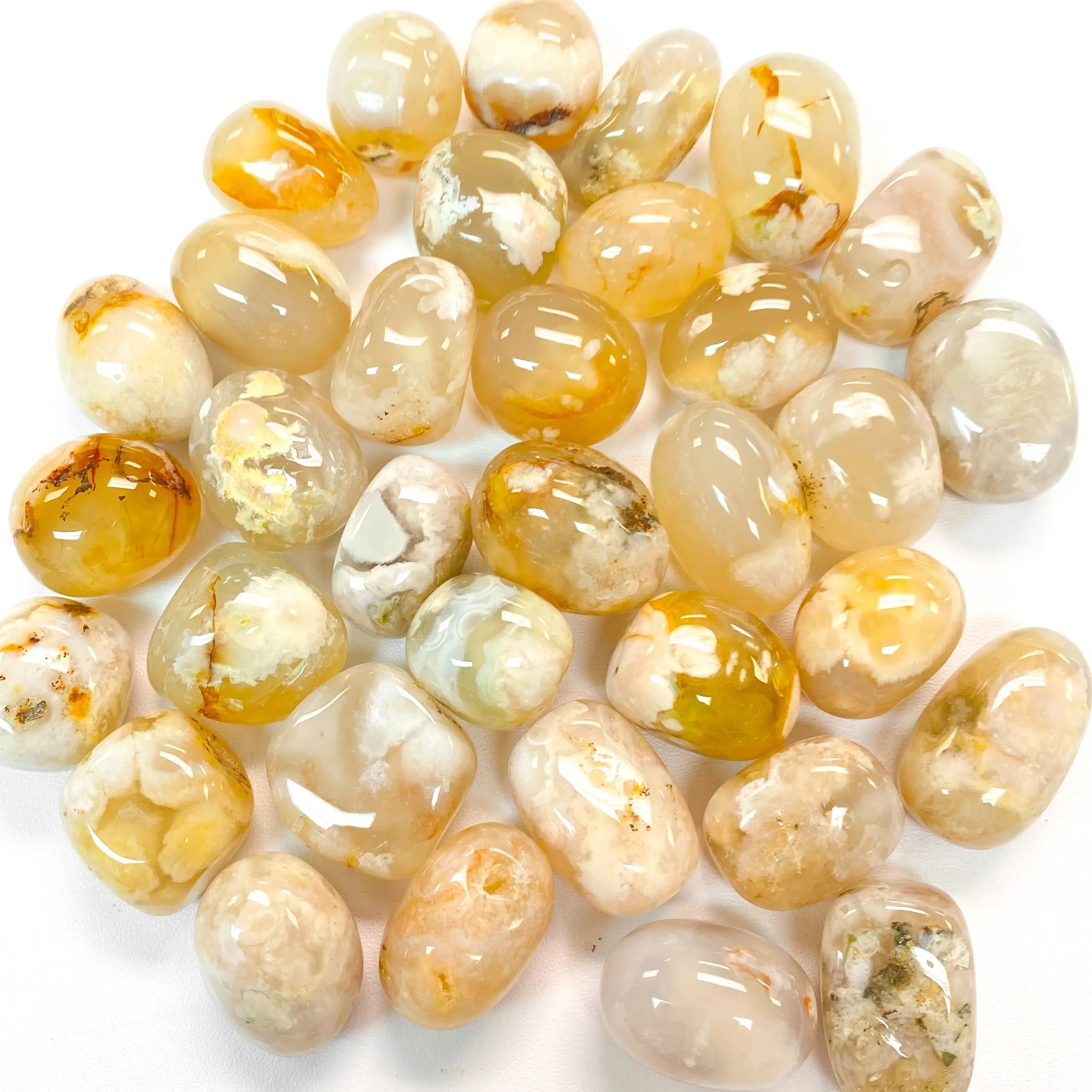 Flower Agate Pocket Stone Arabella Crystals