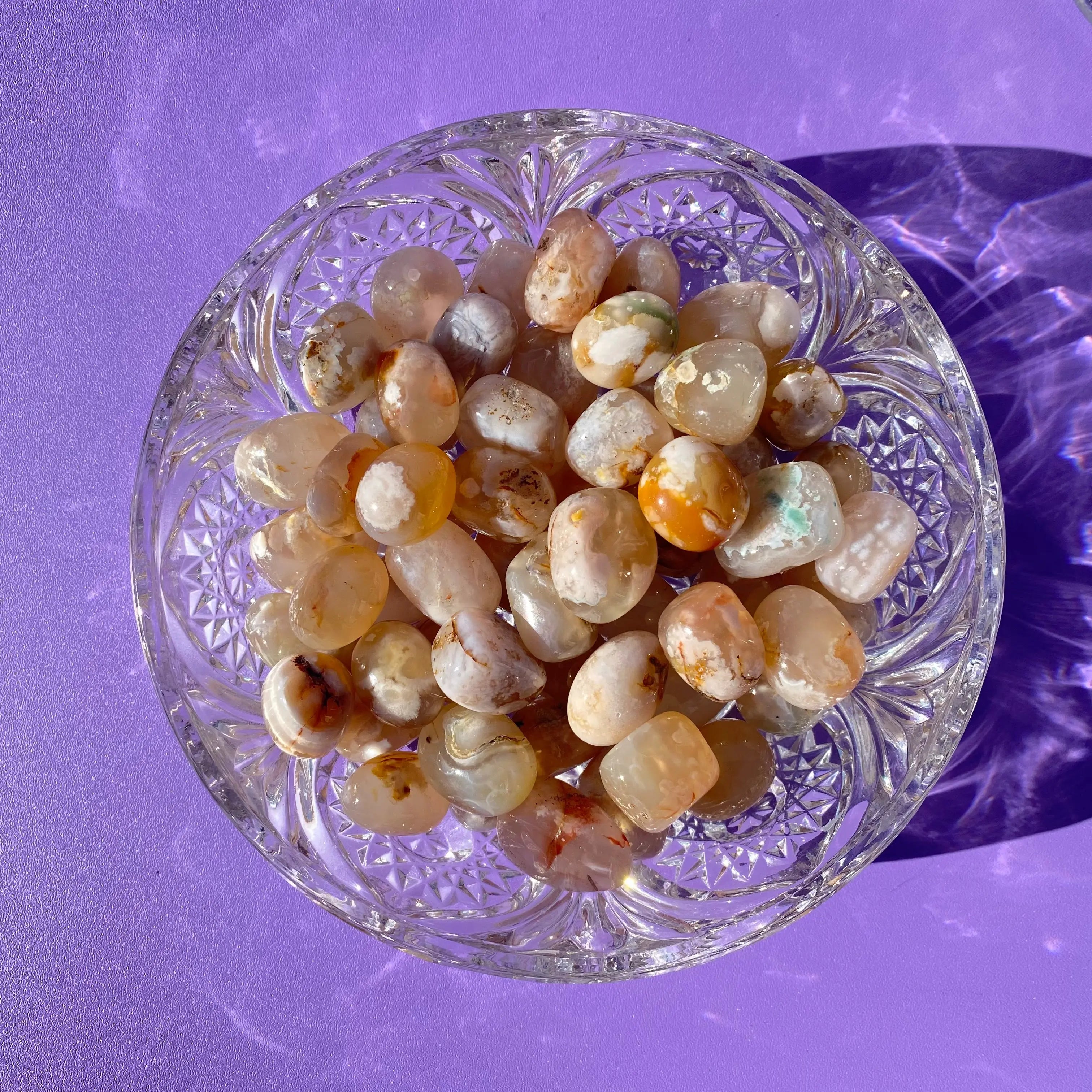 Flower Agate Pocket Stone Arabella Crystals