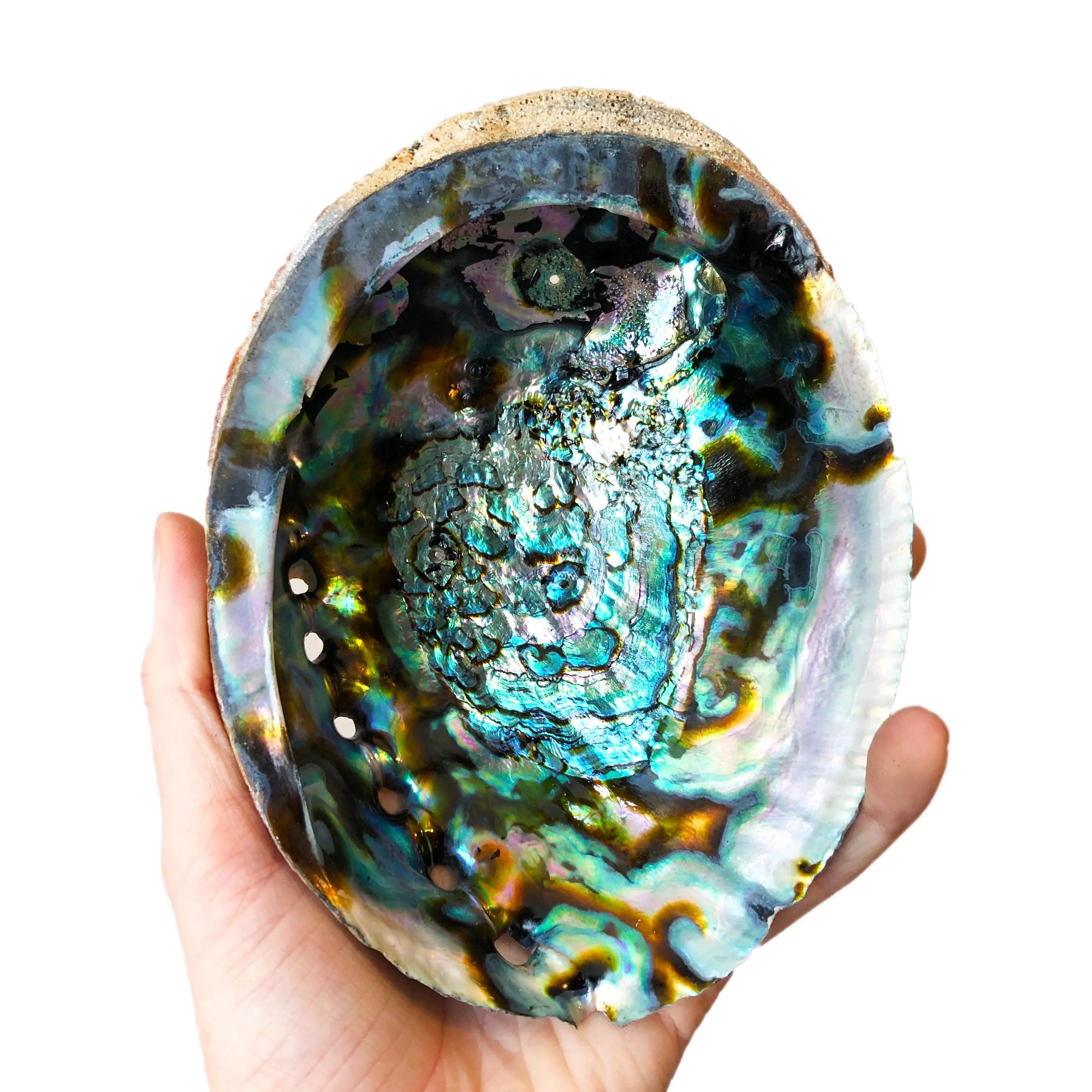 Abalone Shell Arabella Crystals
