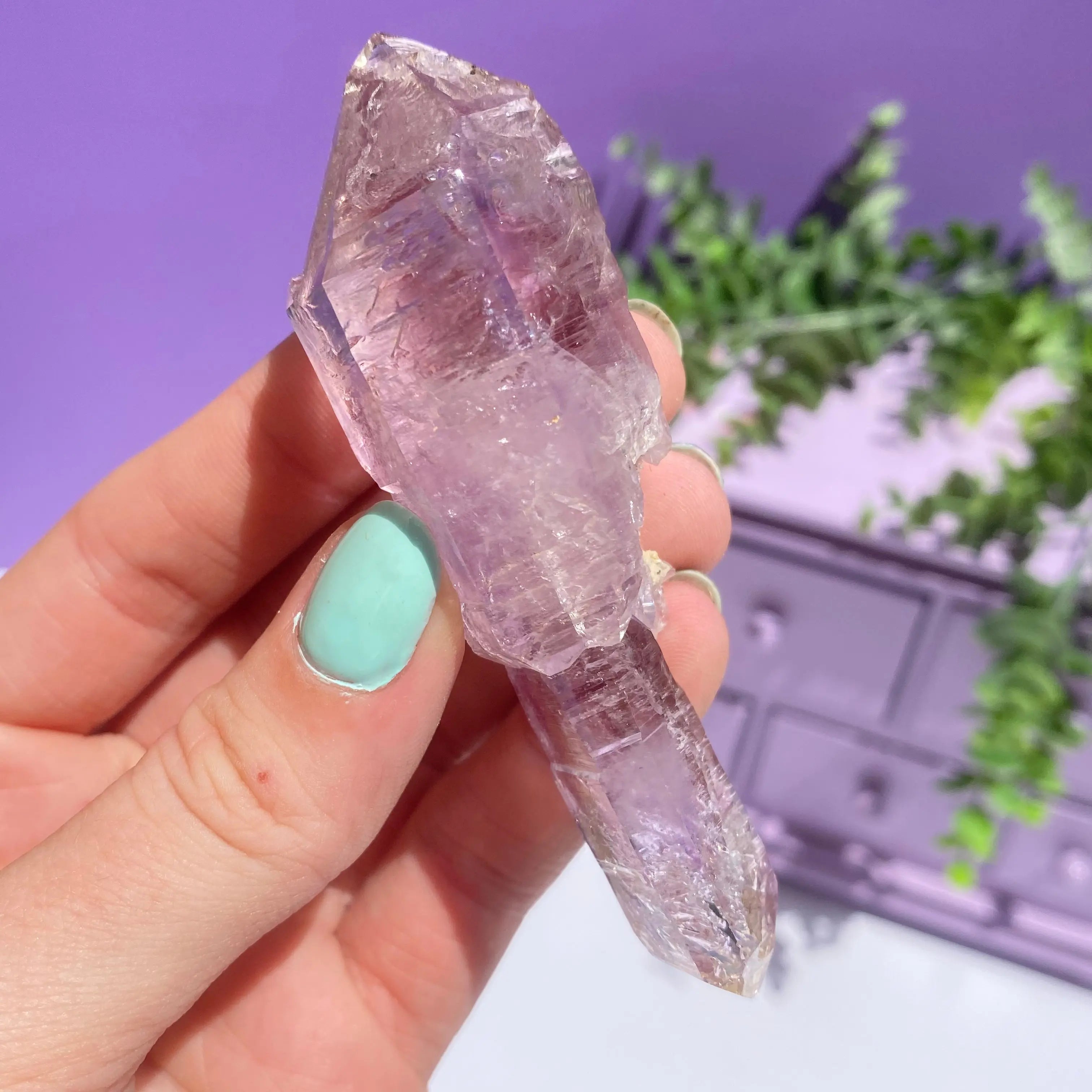 Vera Cruz Amethyst Arabella Crystals