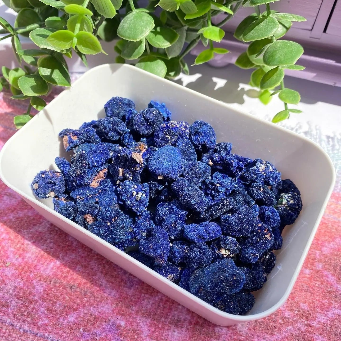 Azurite Cluster Arabella Crystals