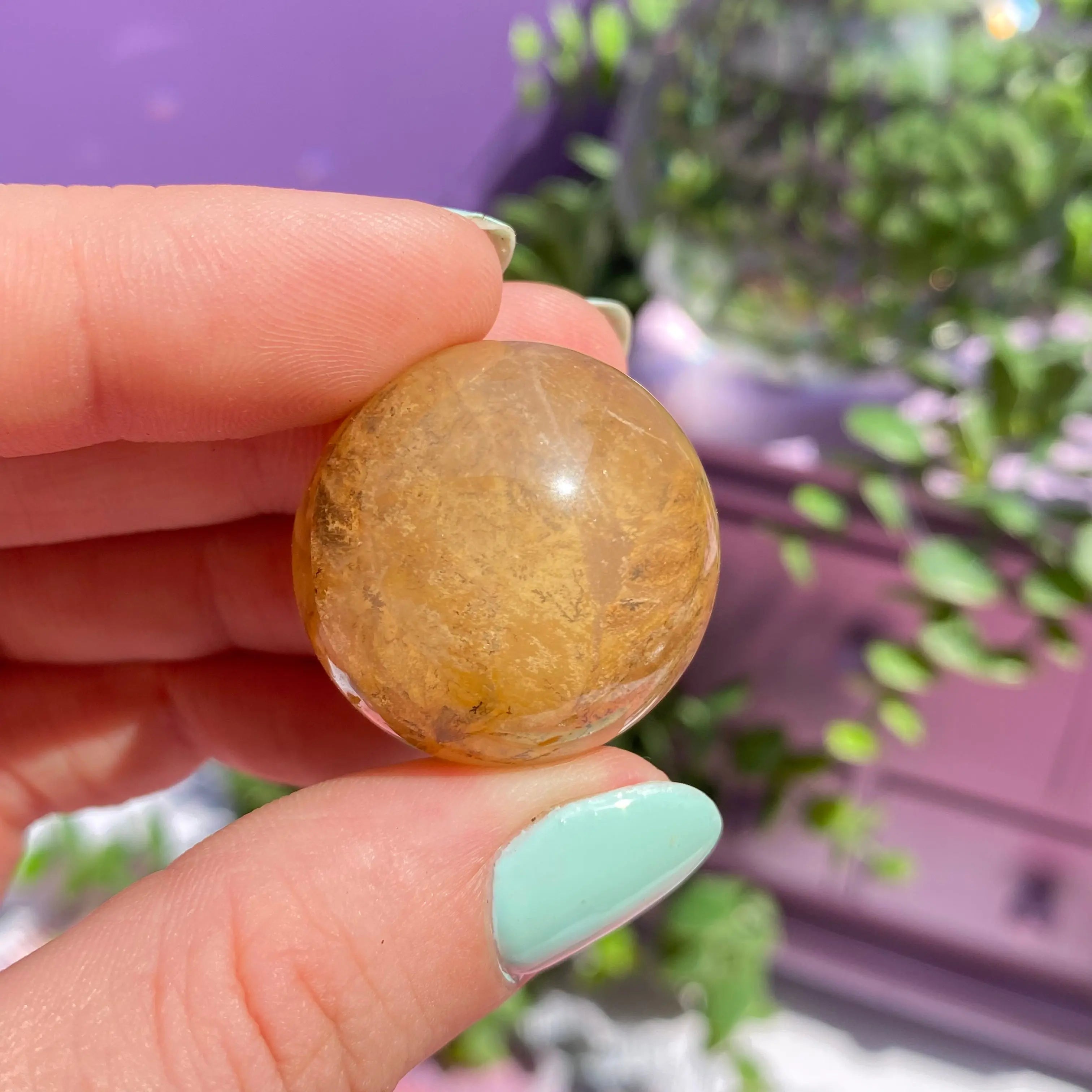Dendritic Quartz Sphere Arabella Crystals