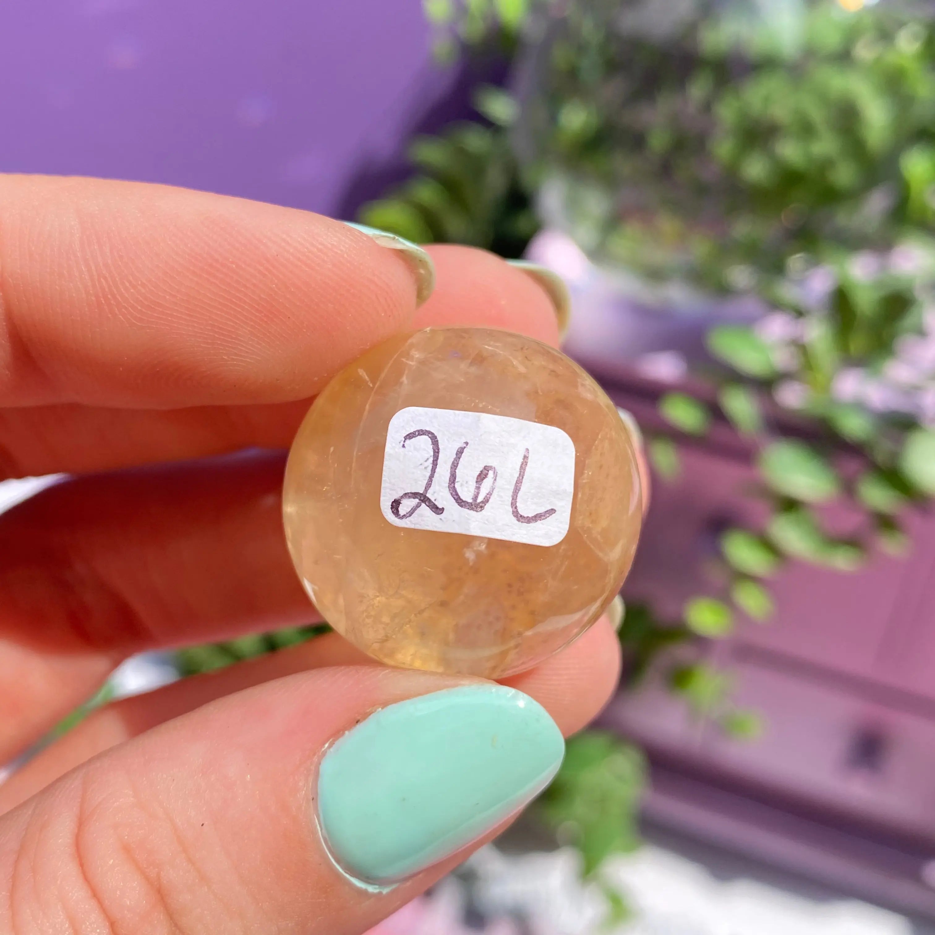 Dendritic Quartz Sphere Arabella Crystals