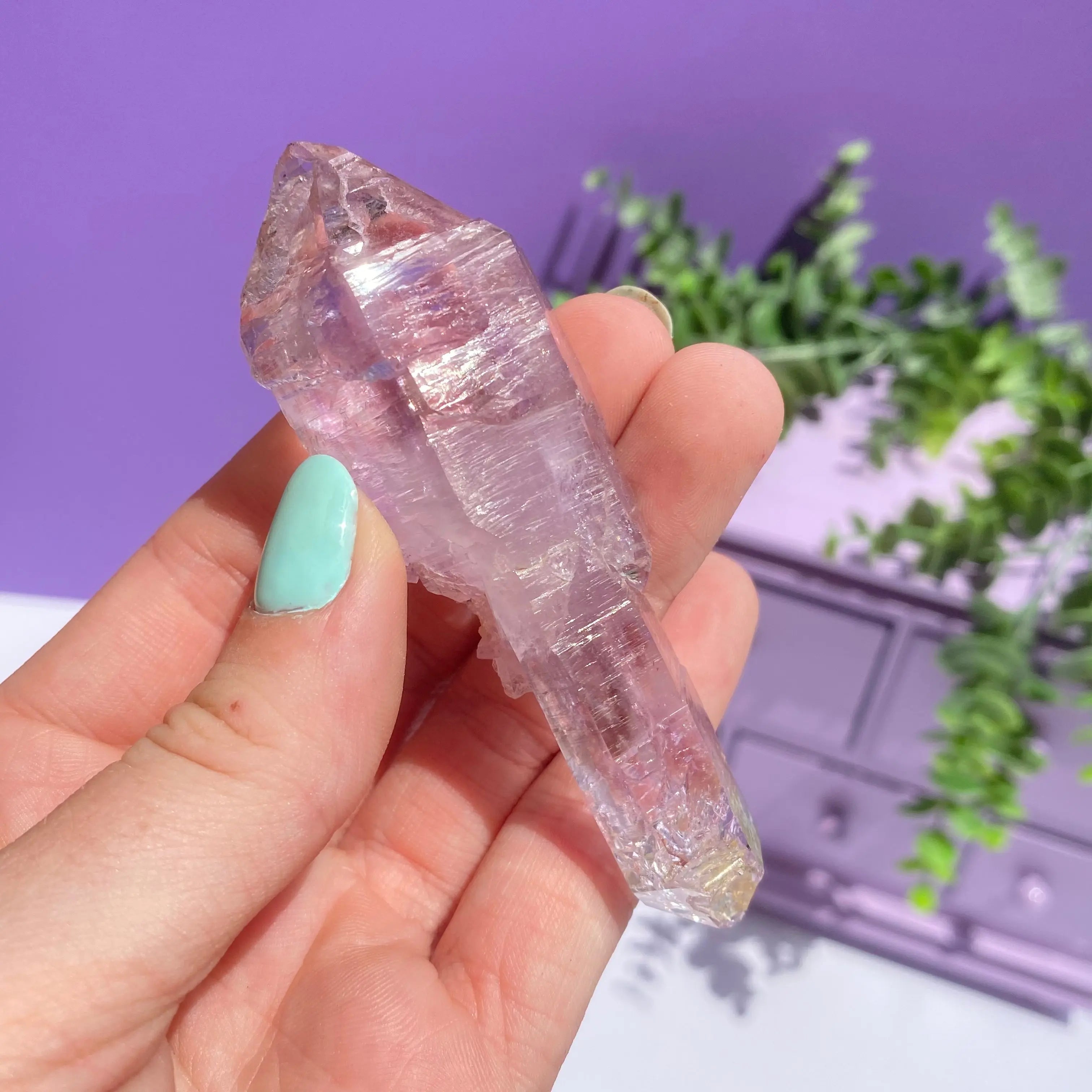 Vera Cruz Amethyst Arabella Crystals