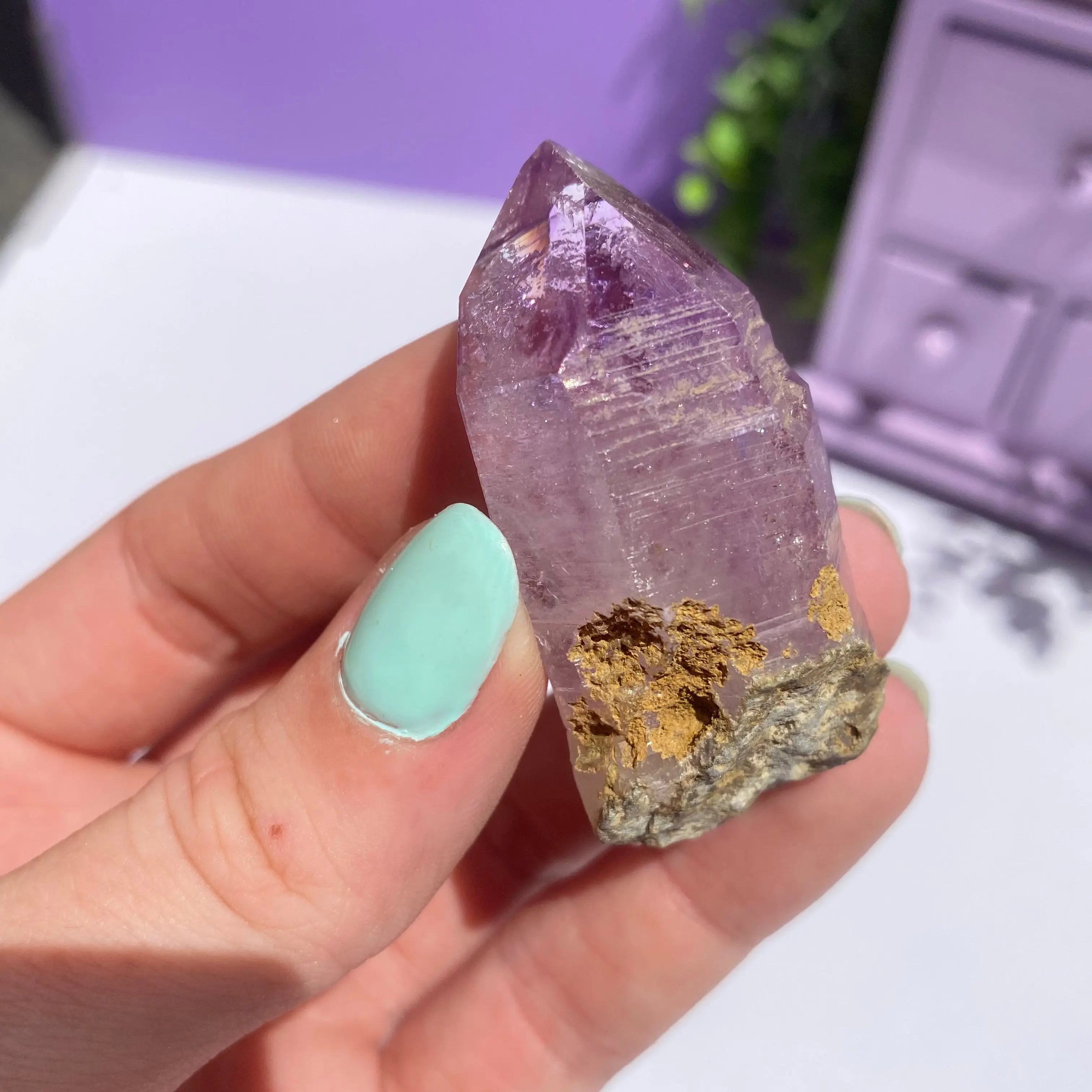 Vera Cruz Amethyst Arabella Crystals