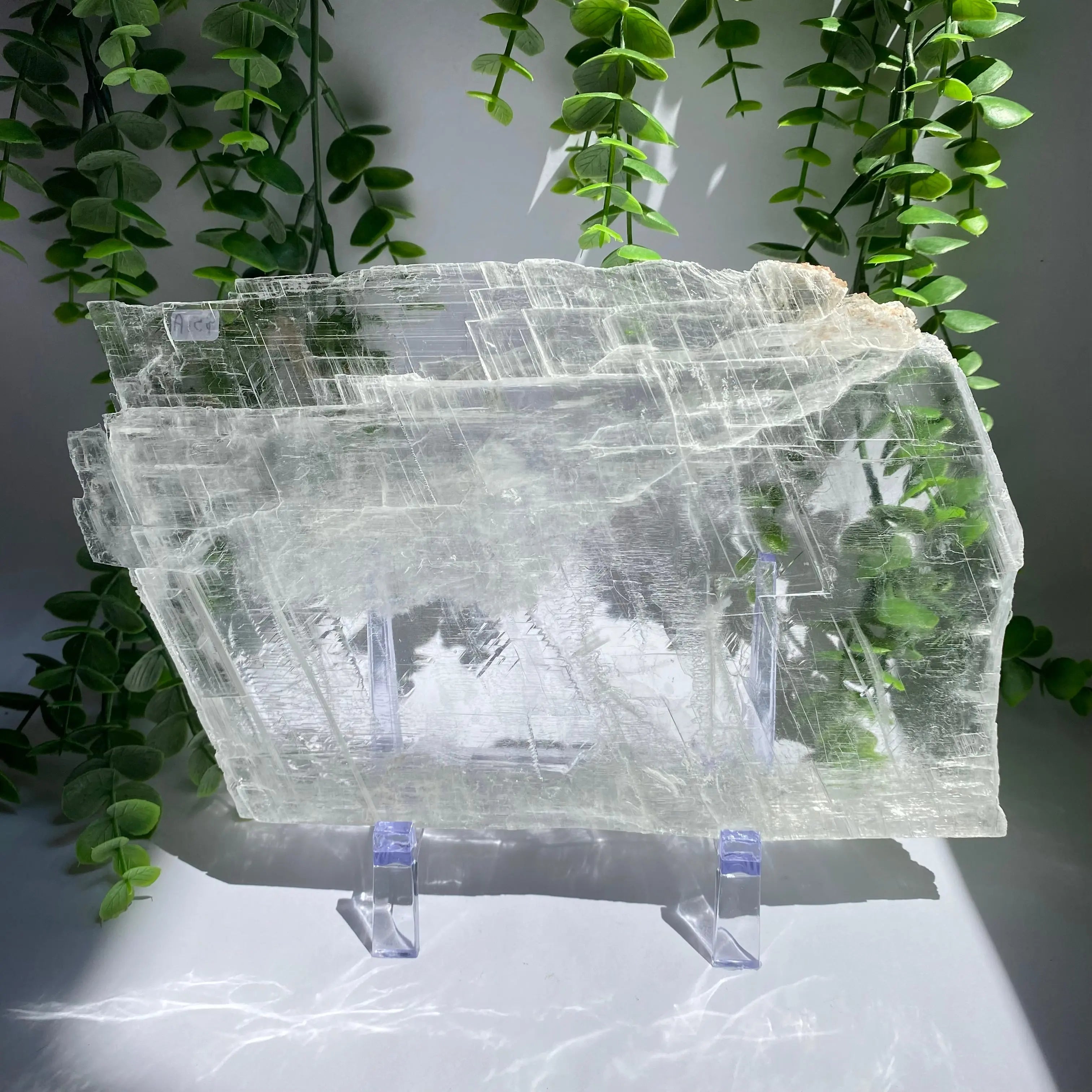 Selenite Slice Arabella Crystals
