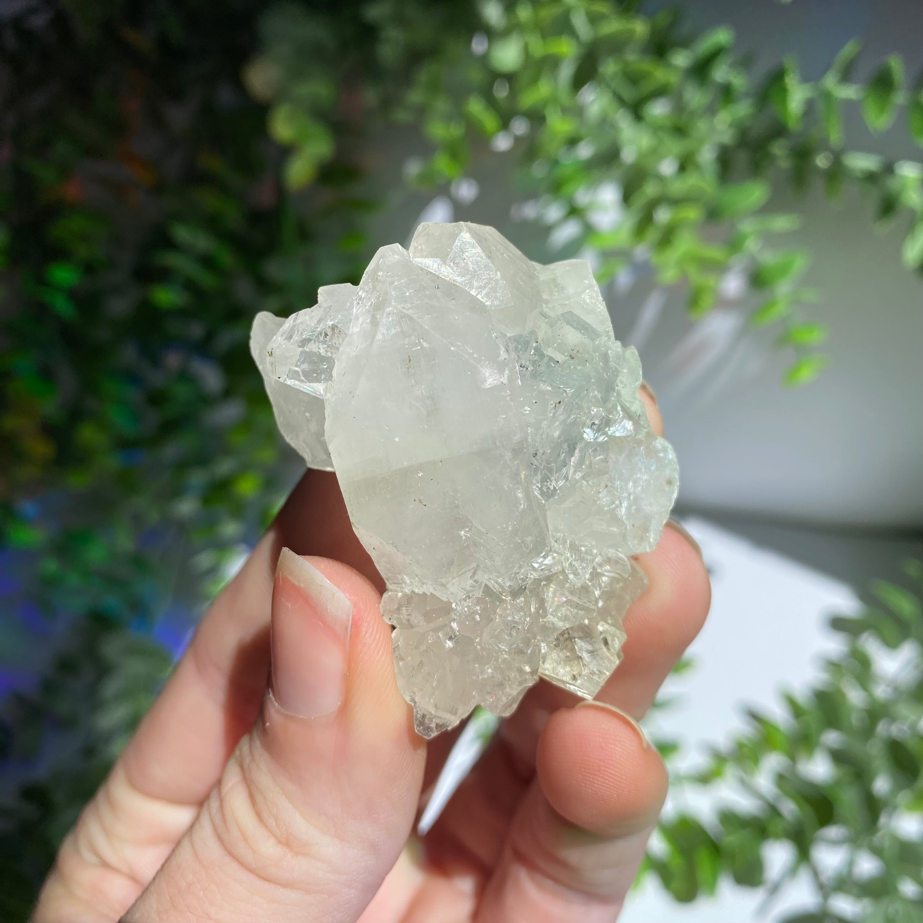 Zeolite Cluster