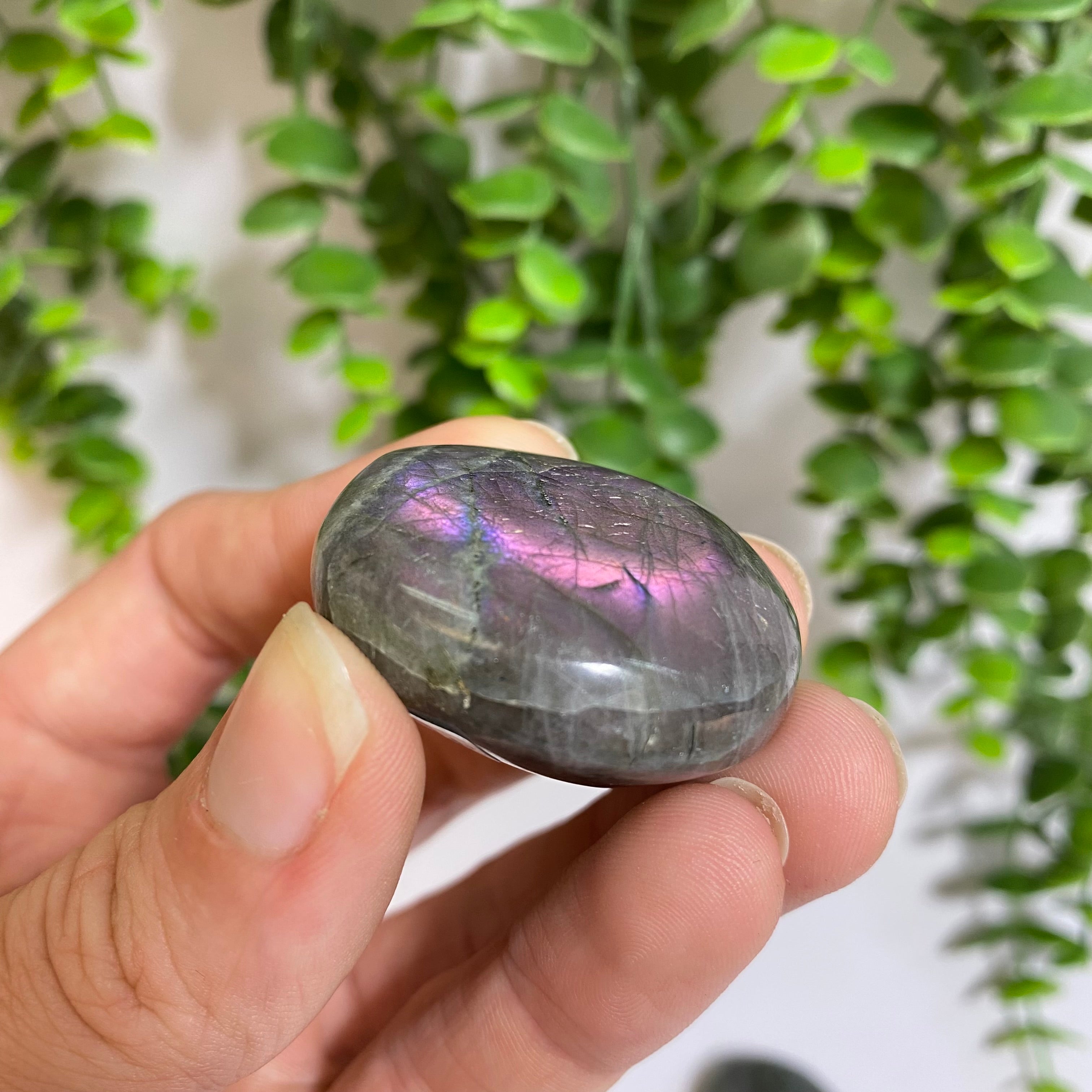 Purple Labradorite Palm Stone