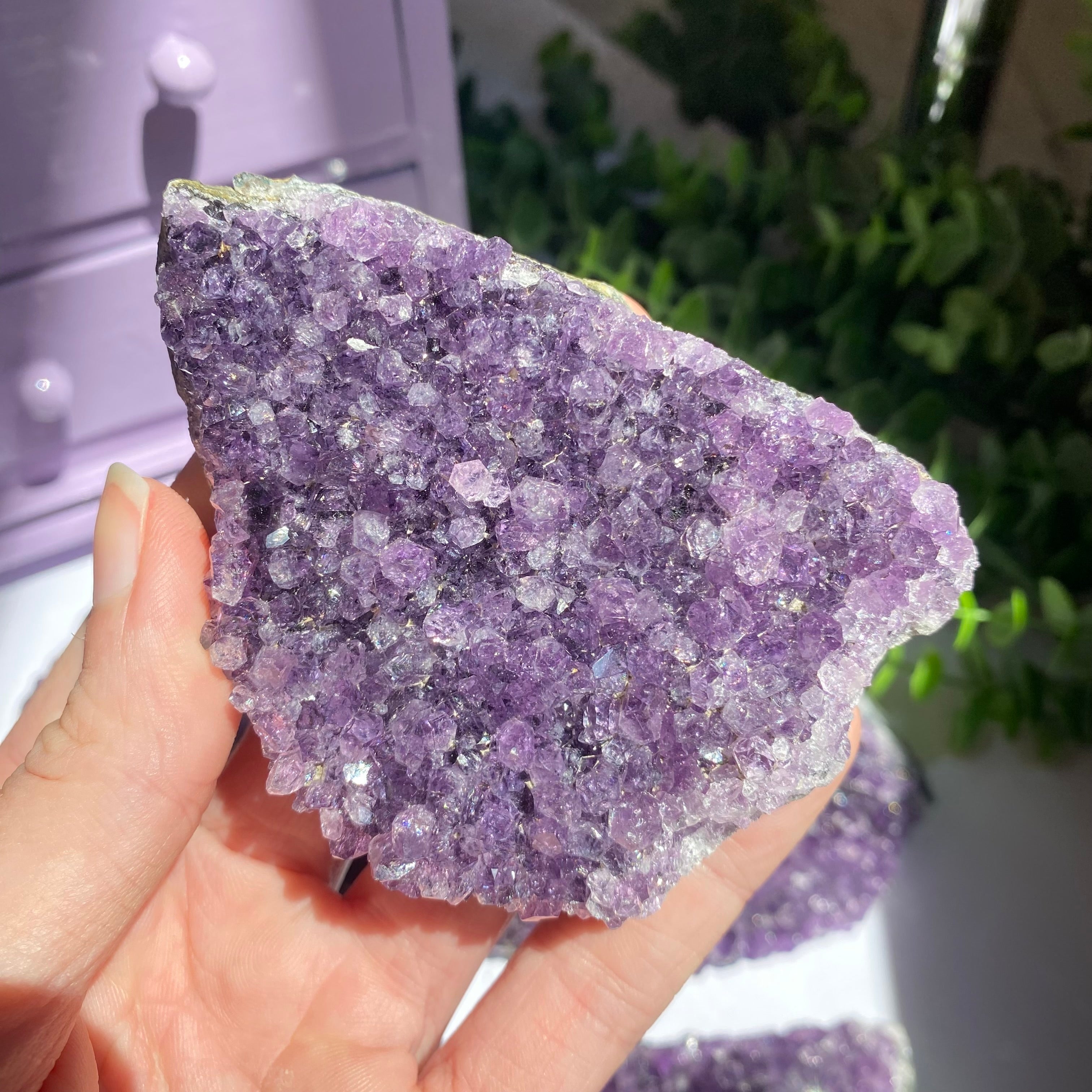 Amethyst Cluster