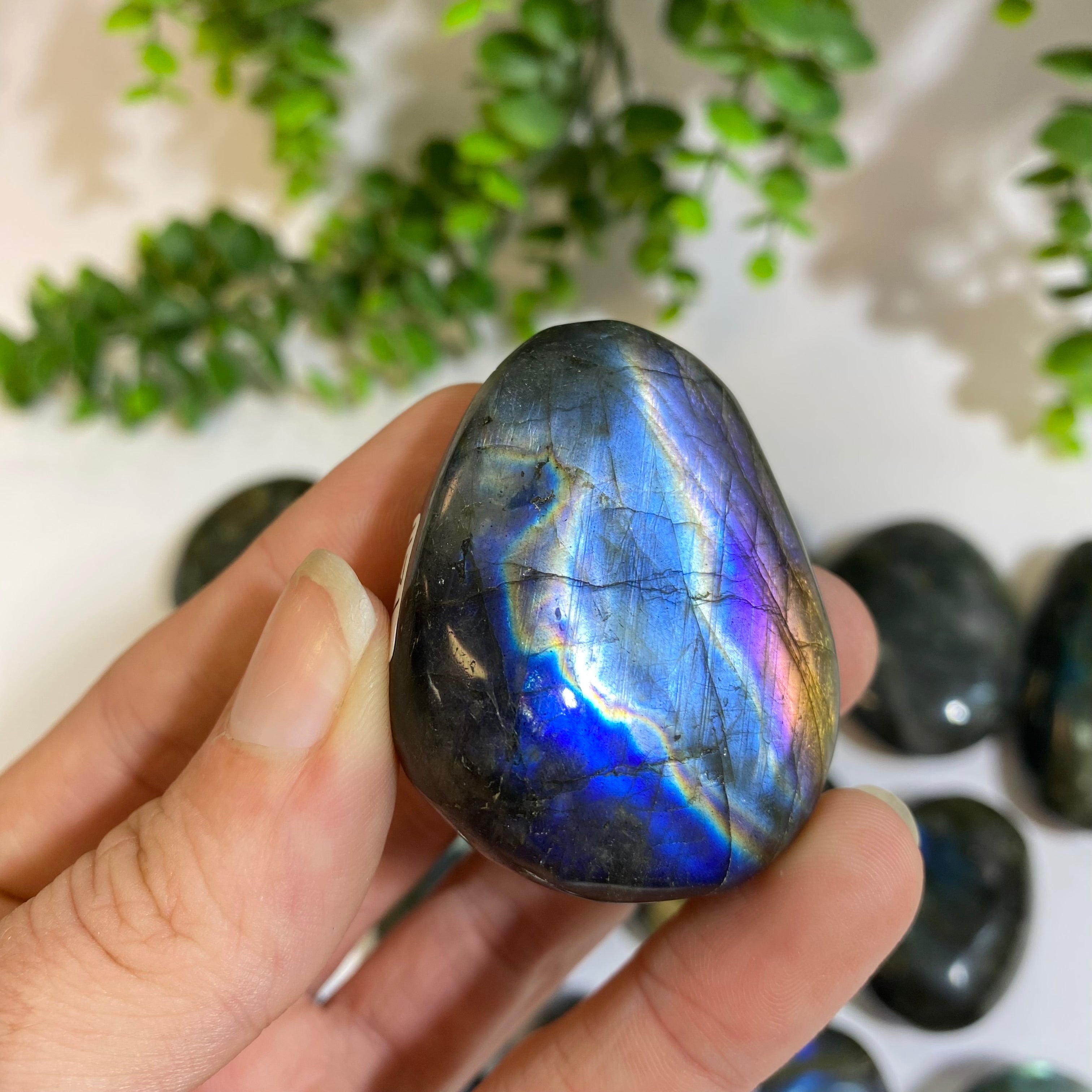 Labradorite Palm Stone