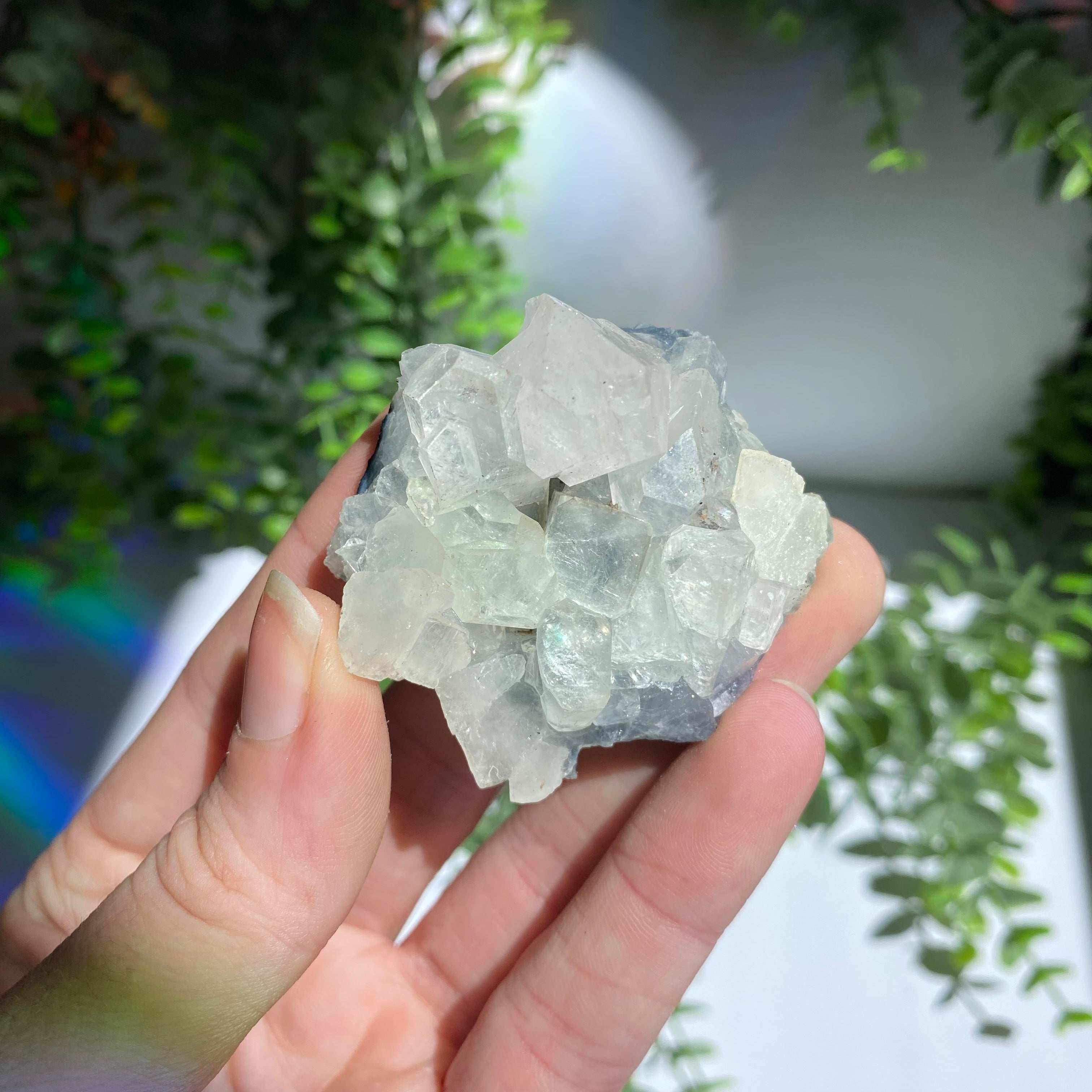 Zeolite Cluster