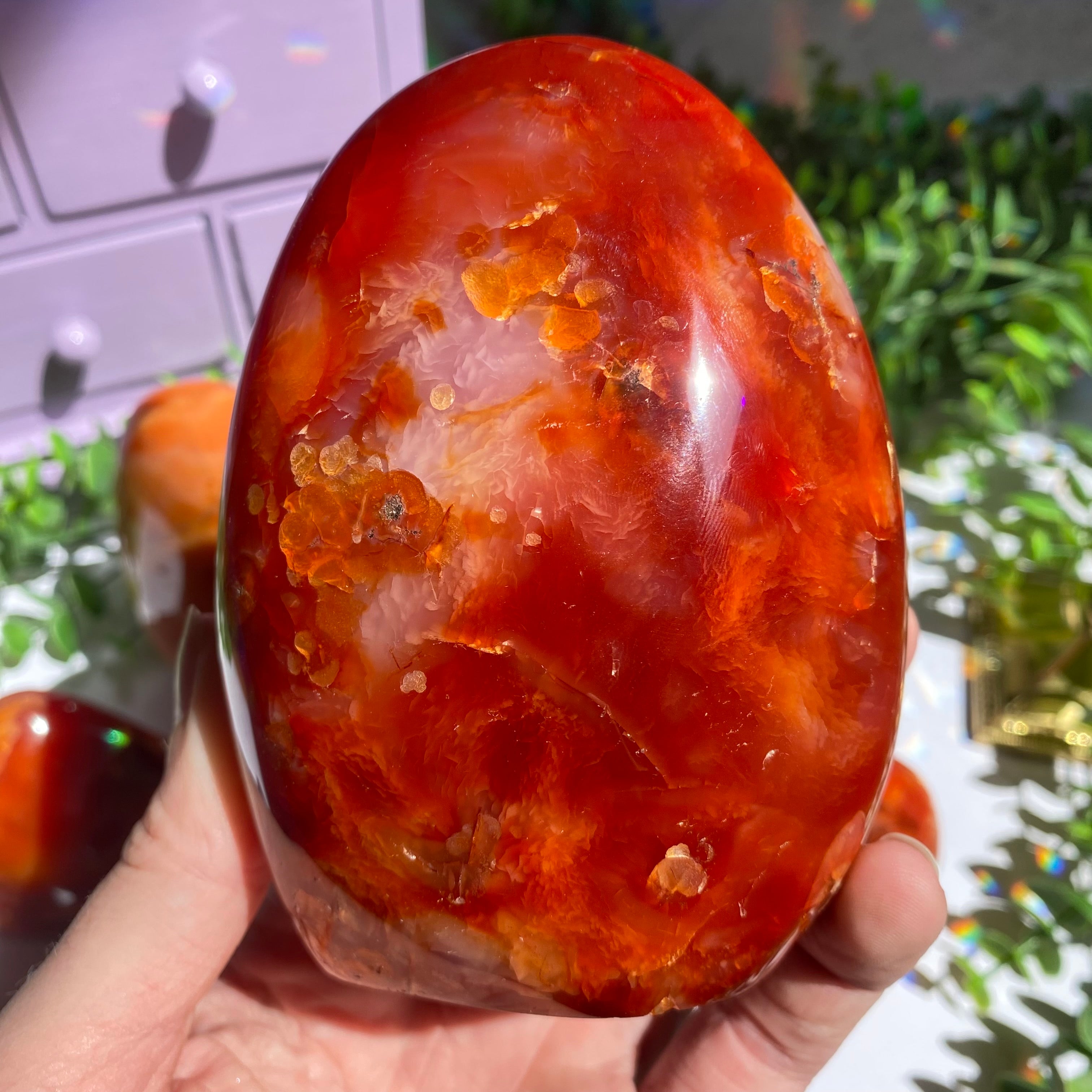 Carnelian Agate Free Form