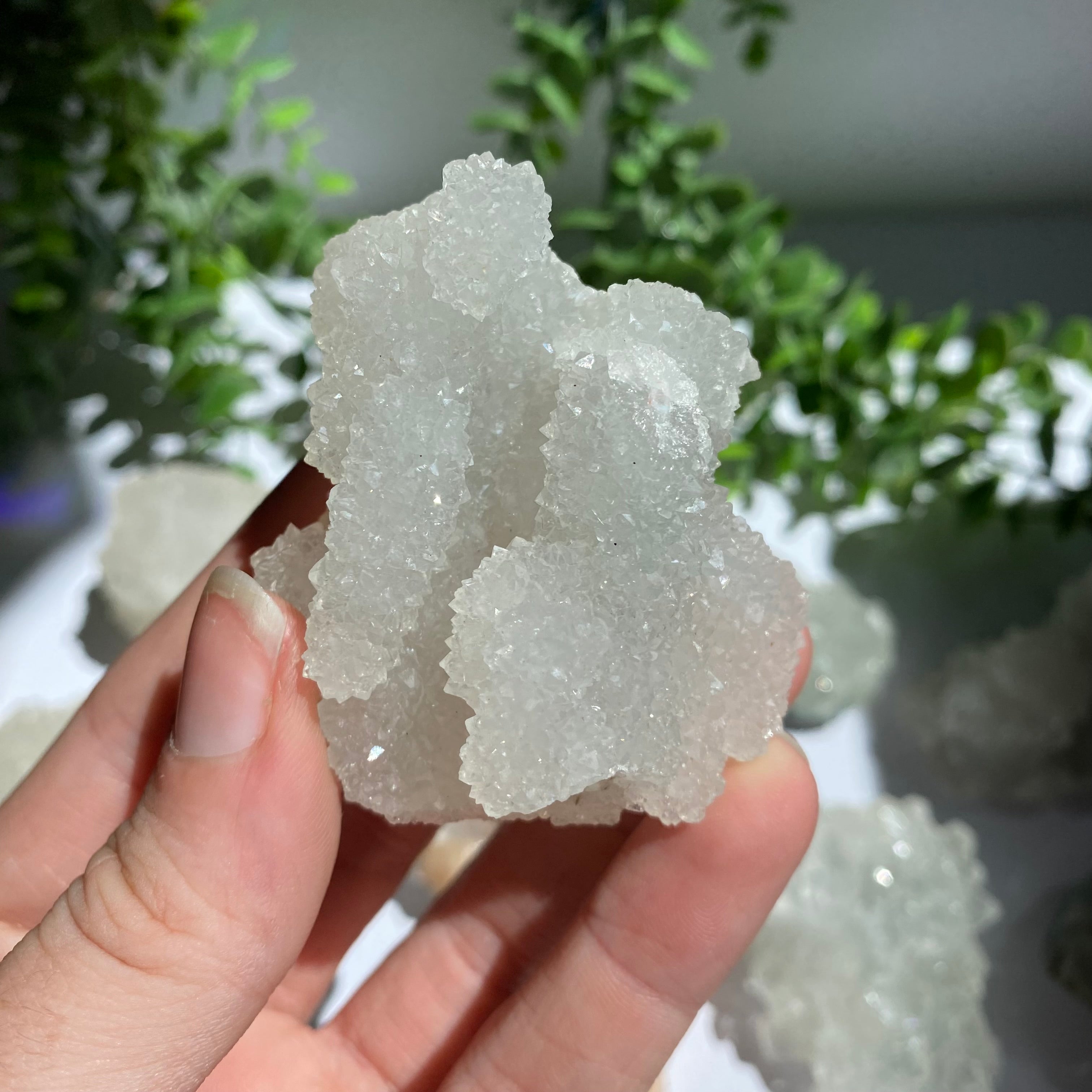 Zeolite Cluster