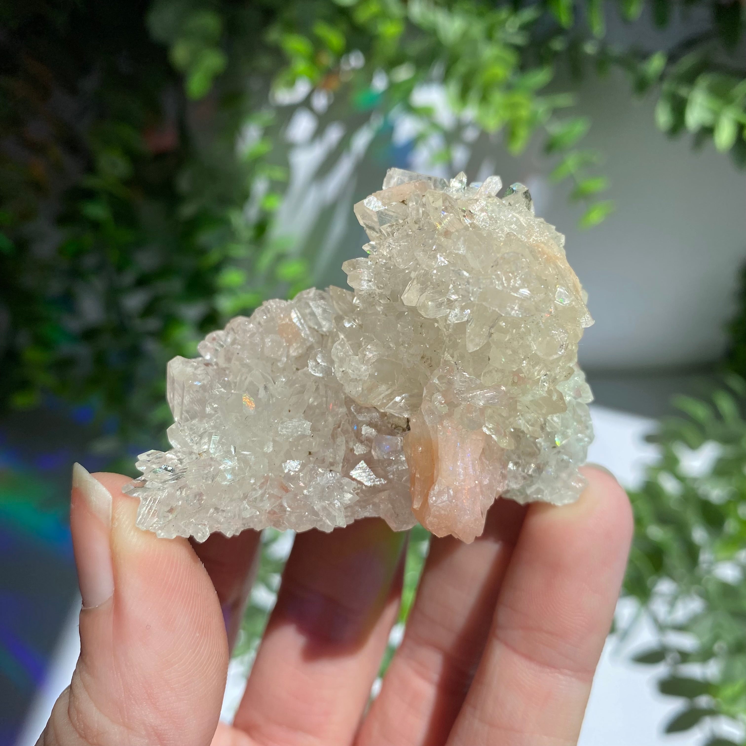 Zeolite Cluster