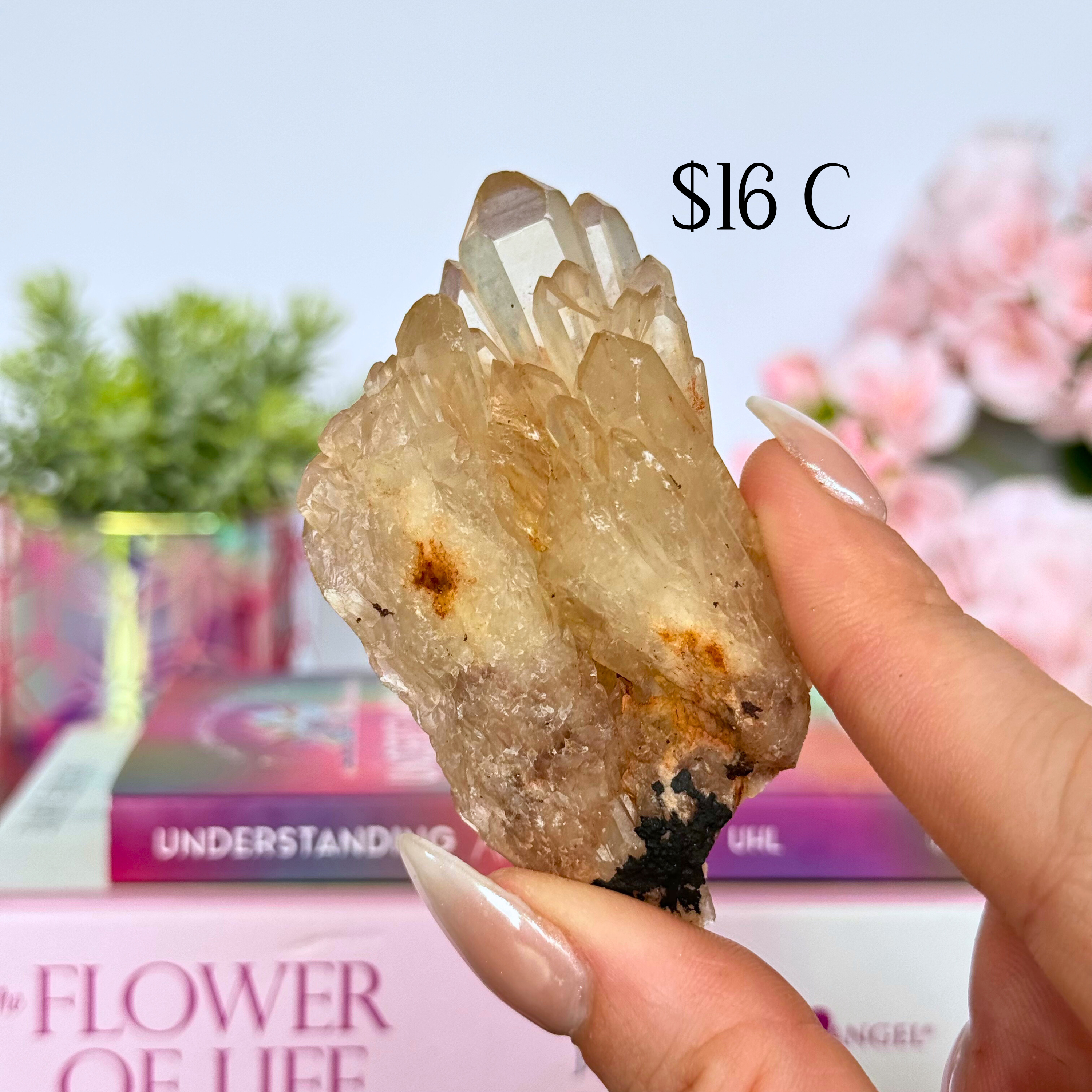 Kundalini Citrine Clusters