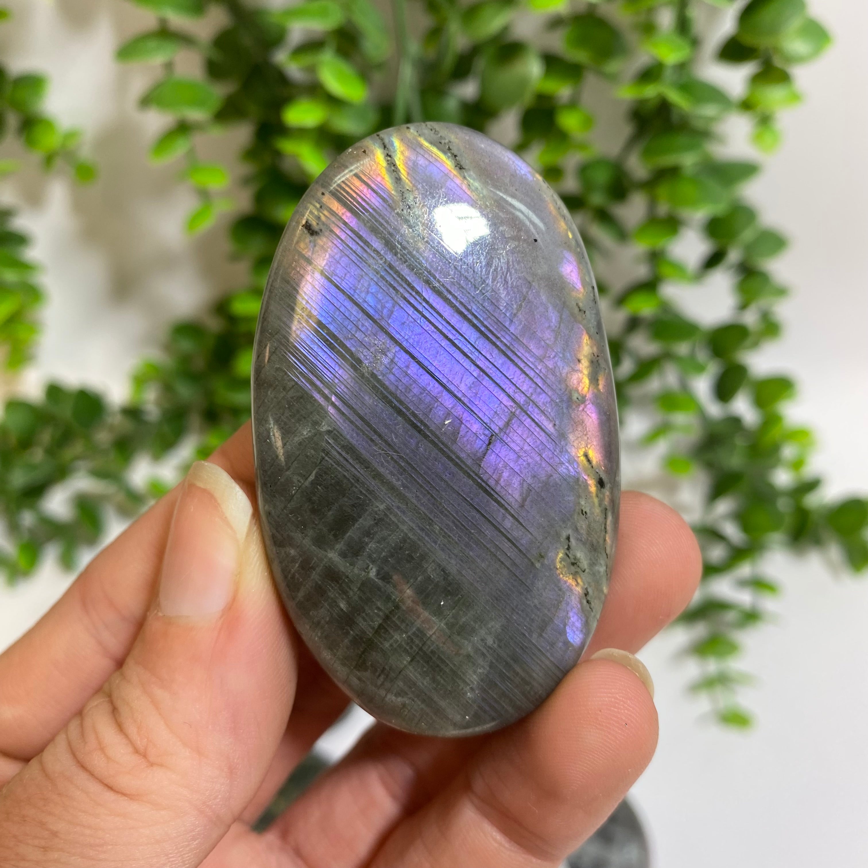 Purple Labradorite Palm Stone