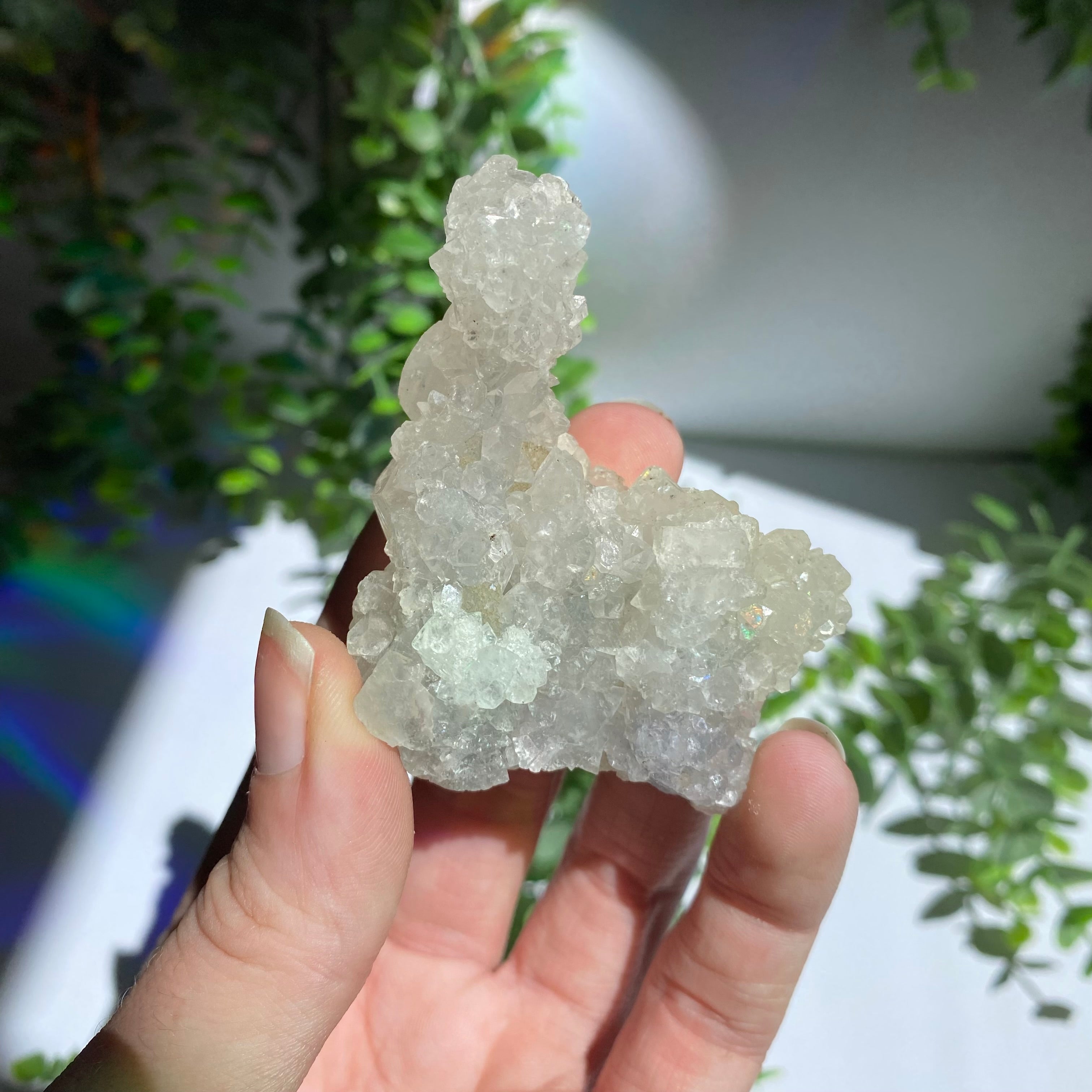 Zeolite Cluster