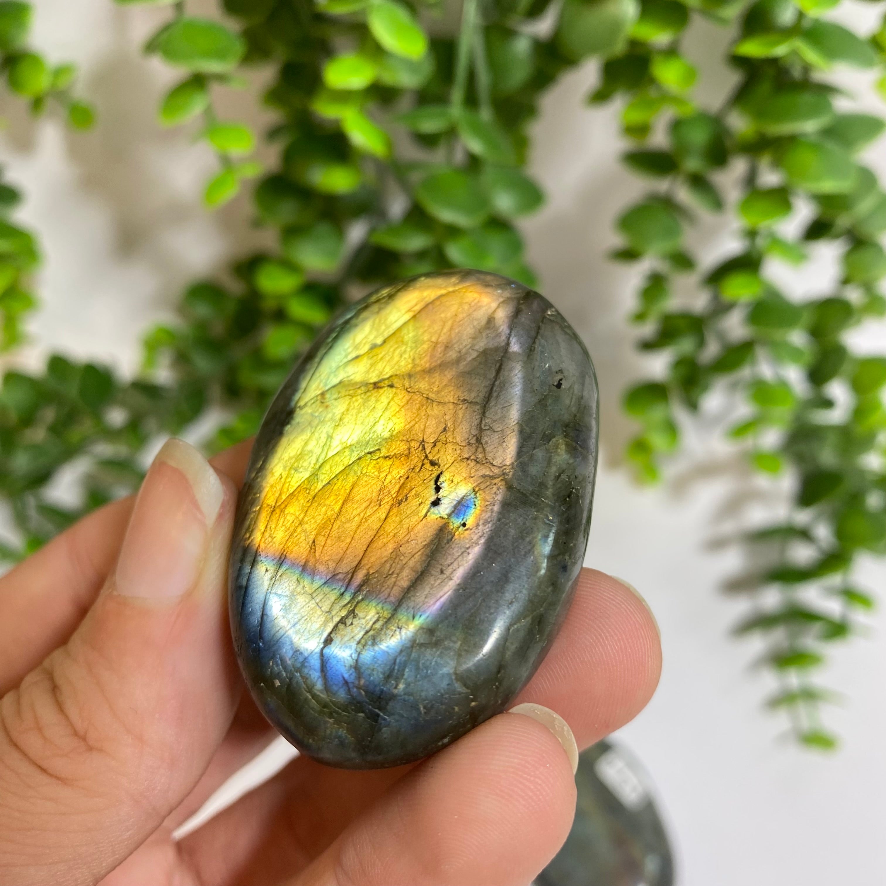 Purple Labradorite Palm Stone