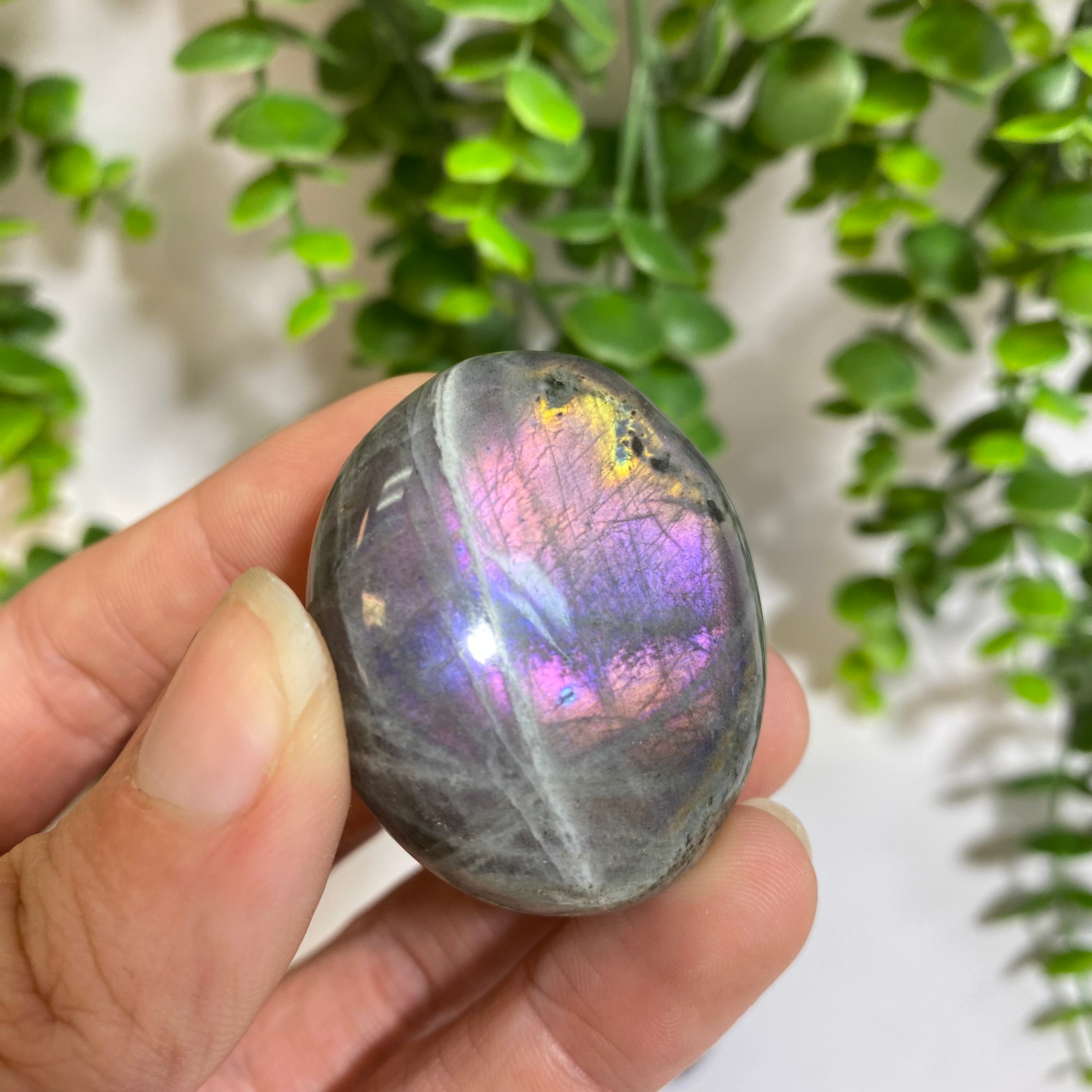 Purple Labradorite Palm Stone