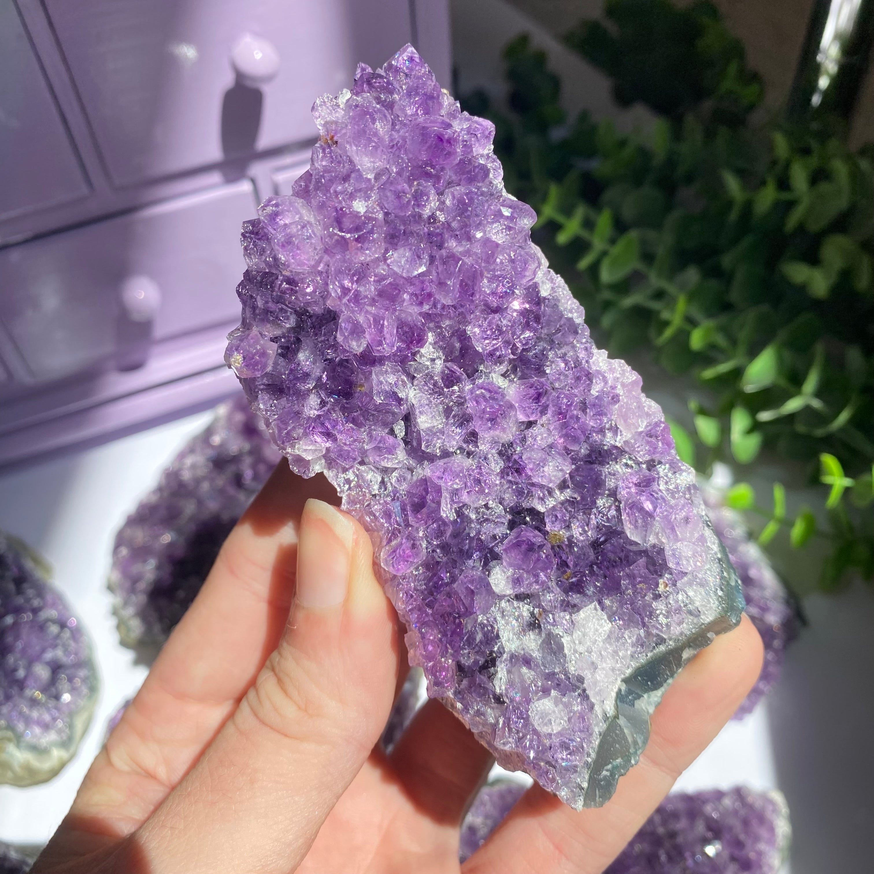 Amethyst Cluster