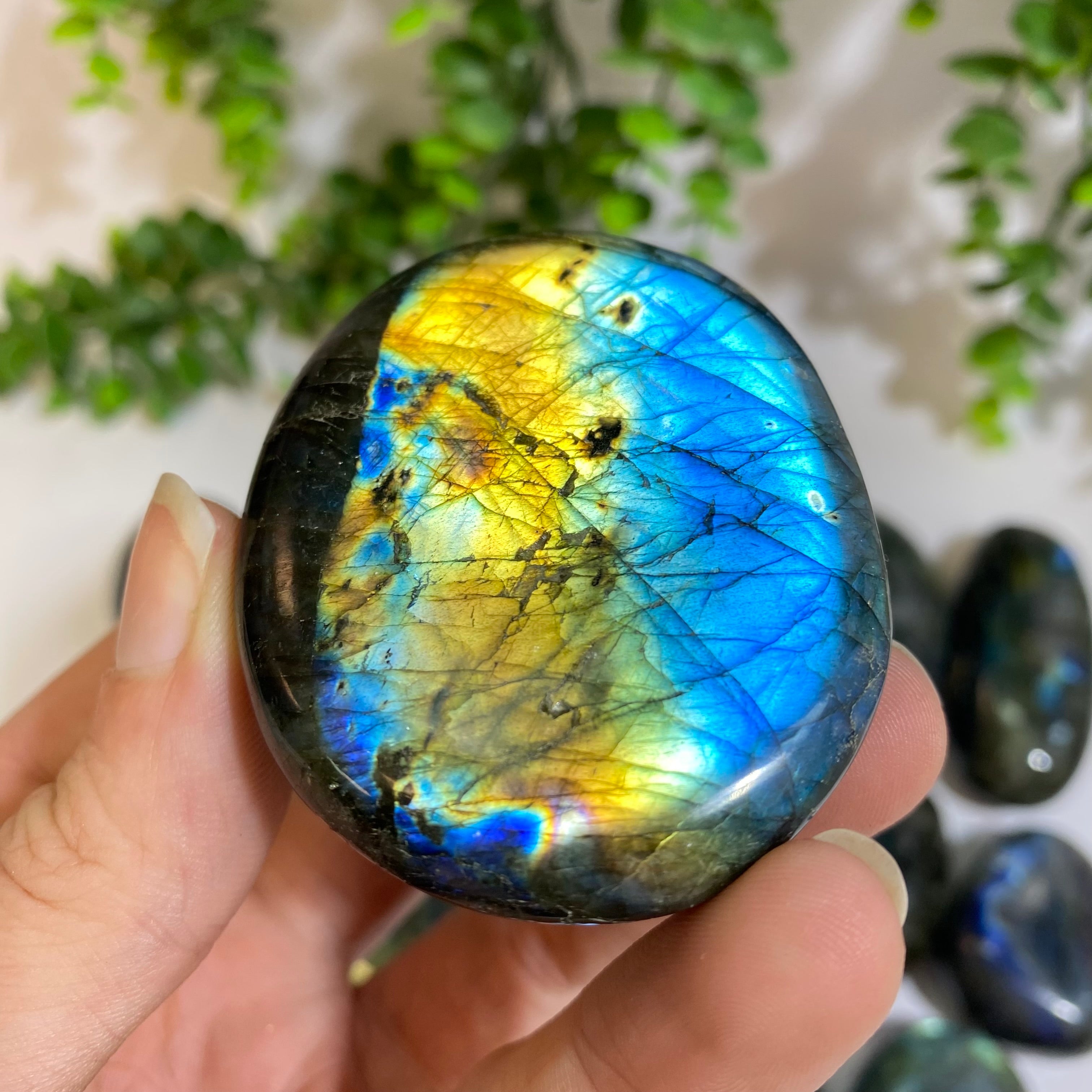 Labradorite Palm Stone