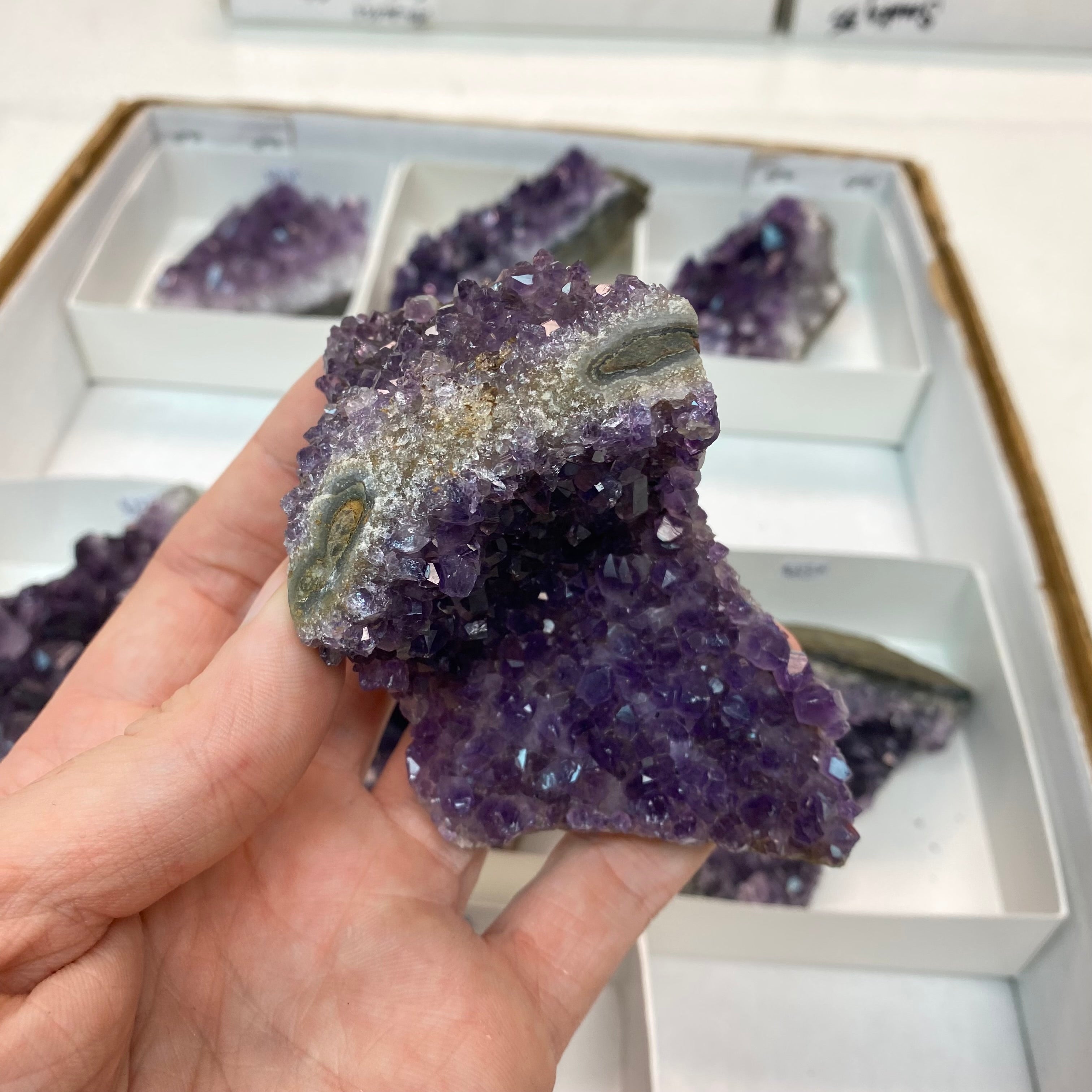 Amethyst Cluster