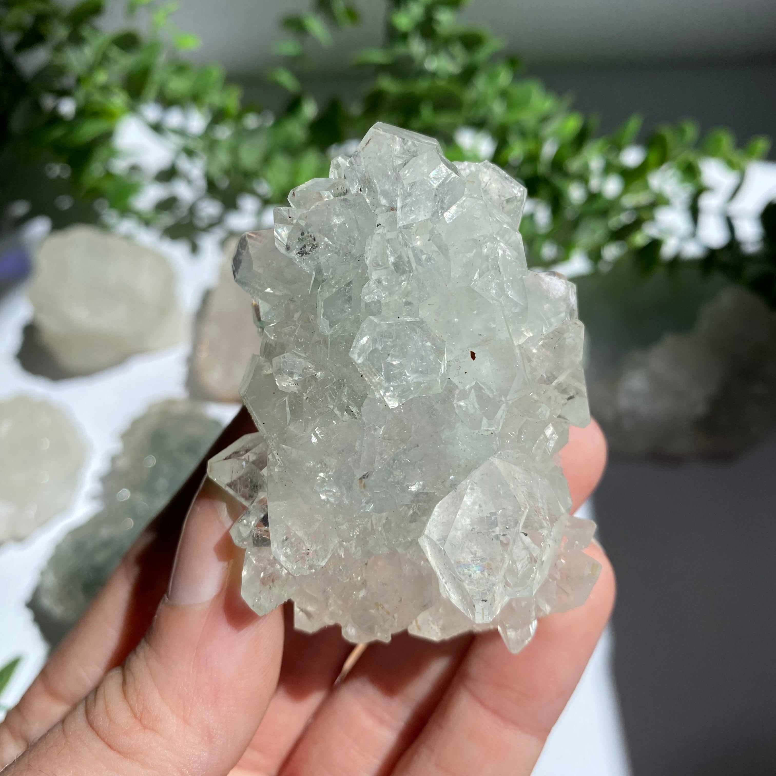 Zeolite Cluster