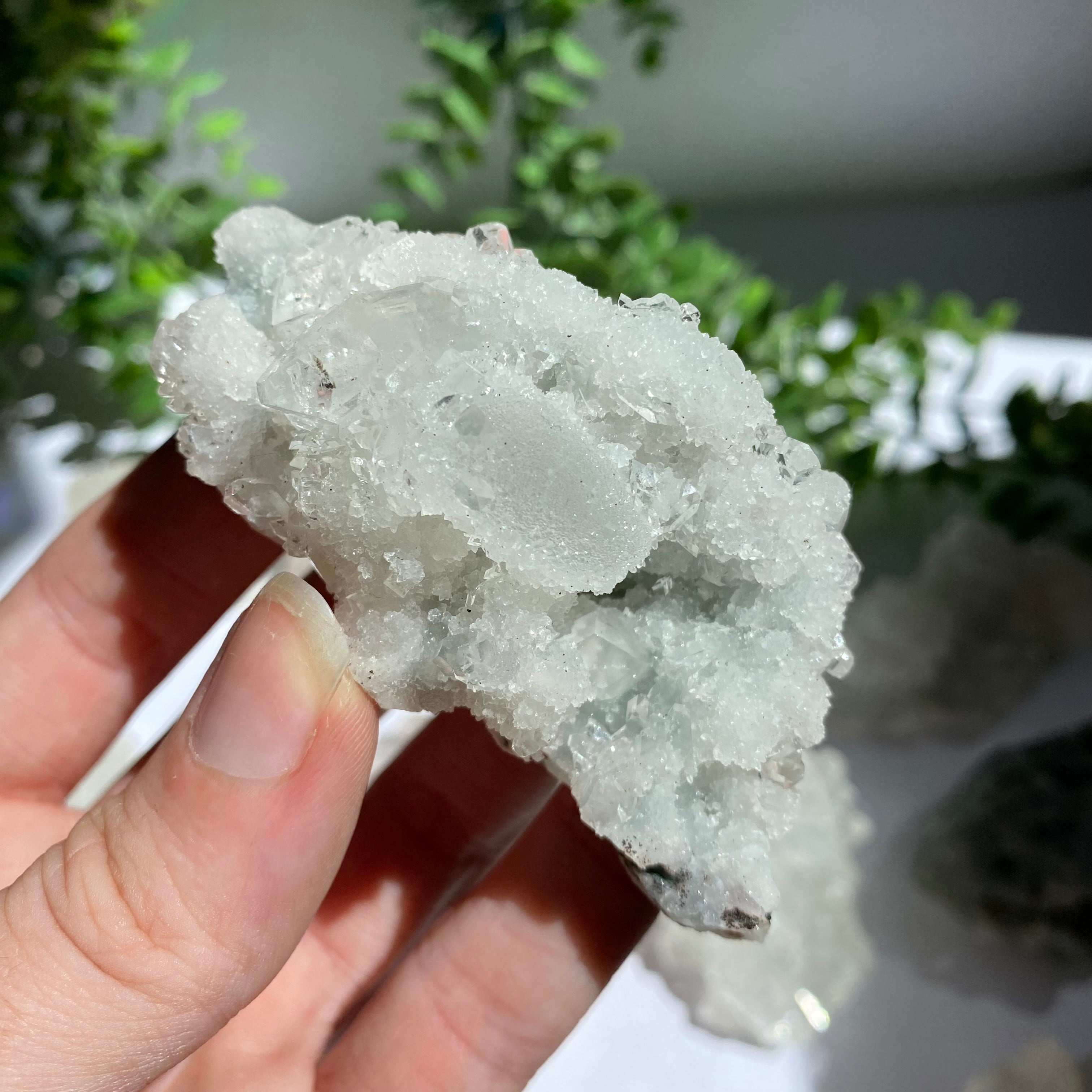 Zeolite Cluster