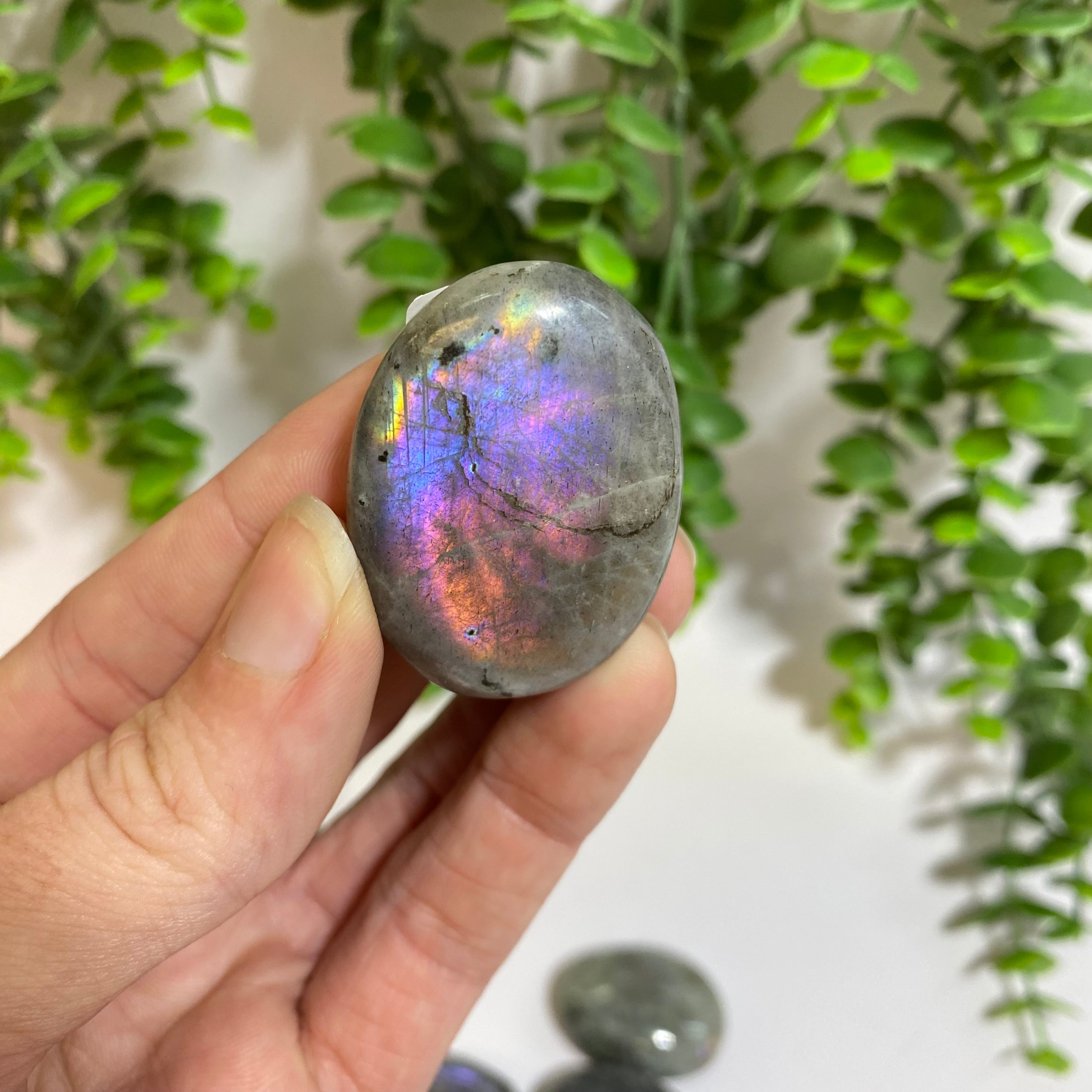 Purple Labradorite Palm Stone