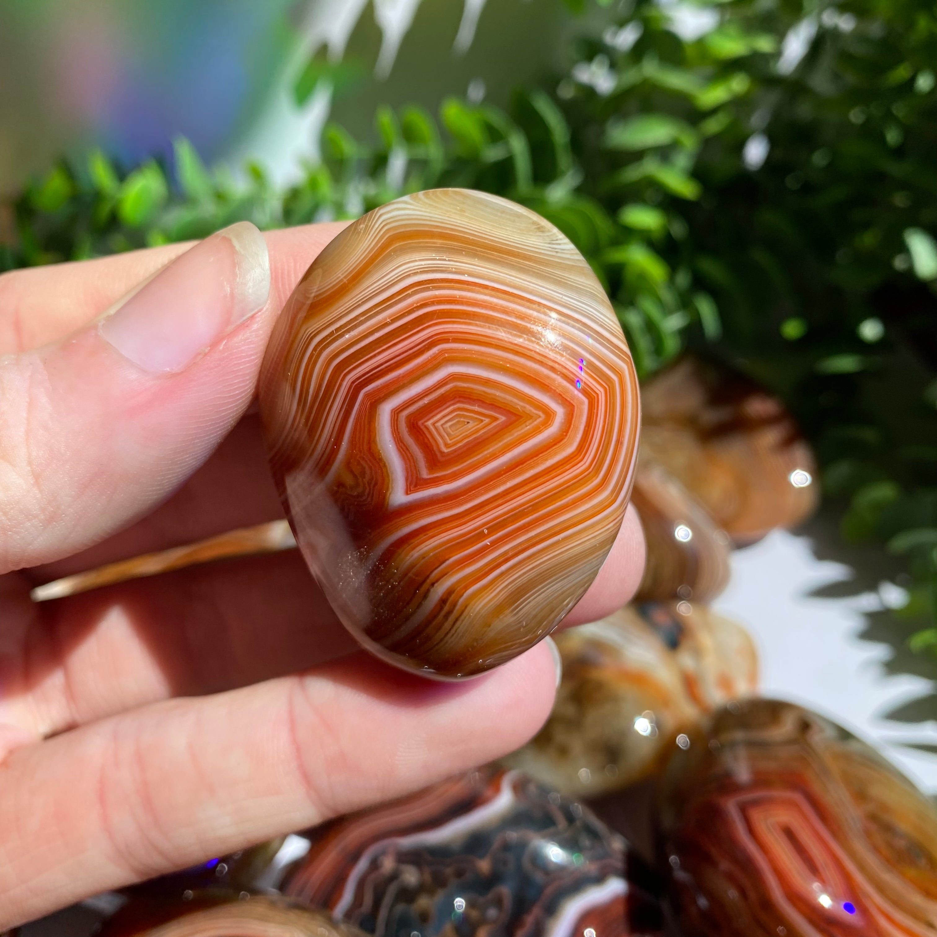 Sardonyx (Carnelian X Onyx) Palm Stone