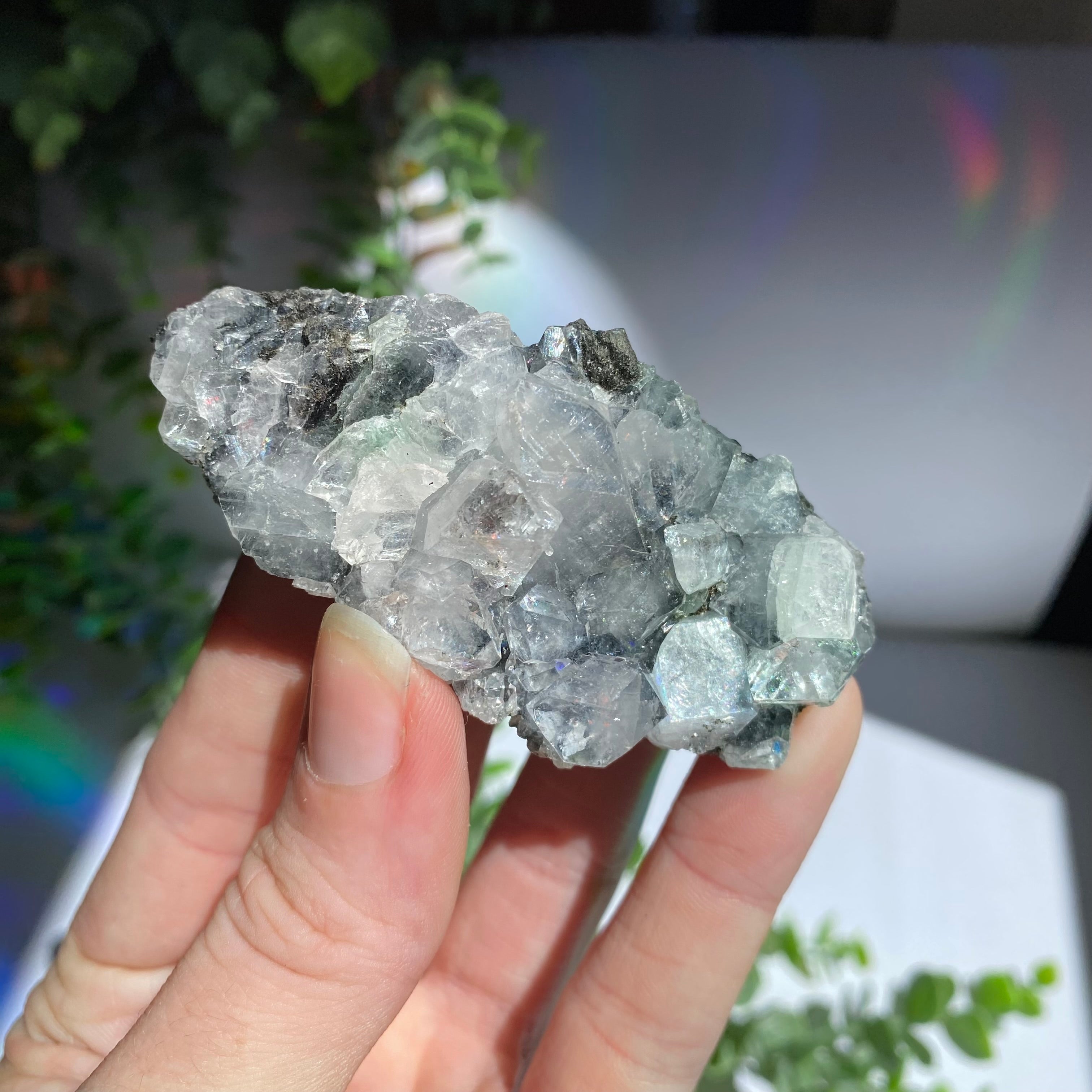 Zeolite Cluster