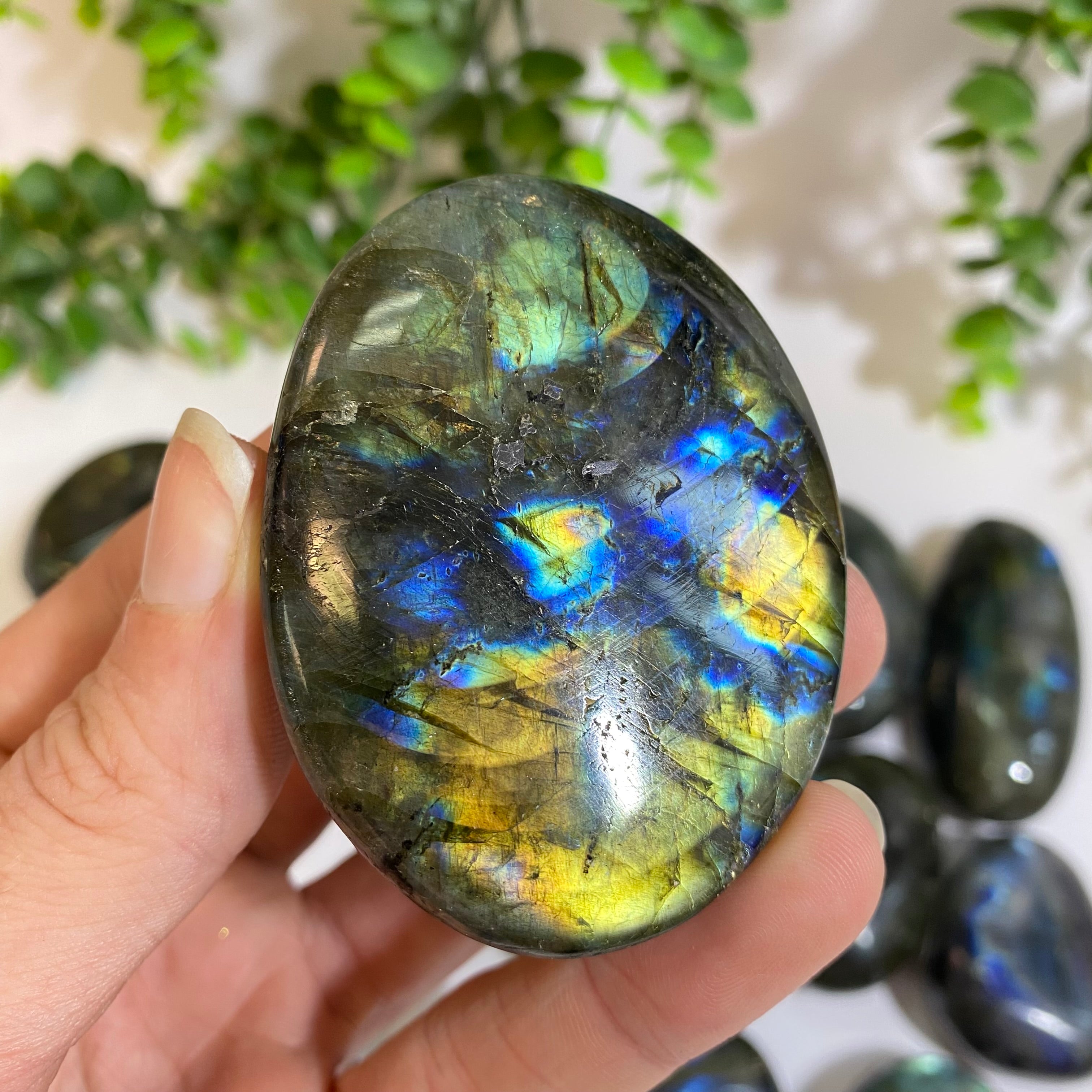 Labradorite Palm Stone