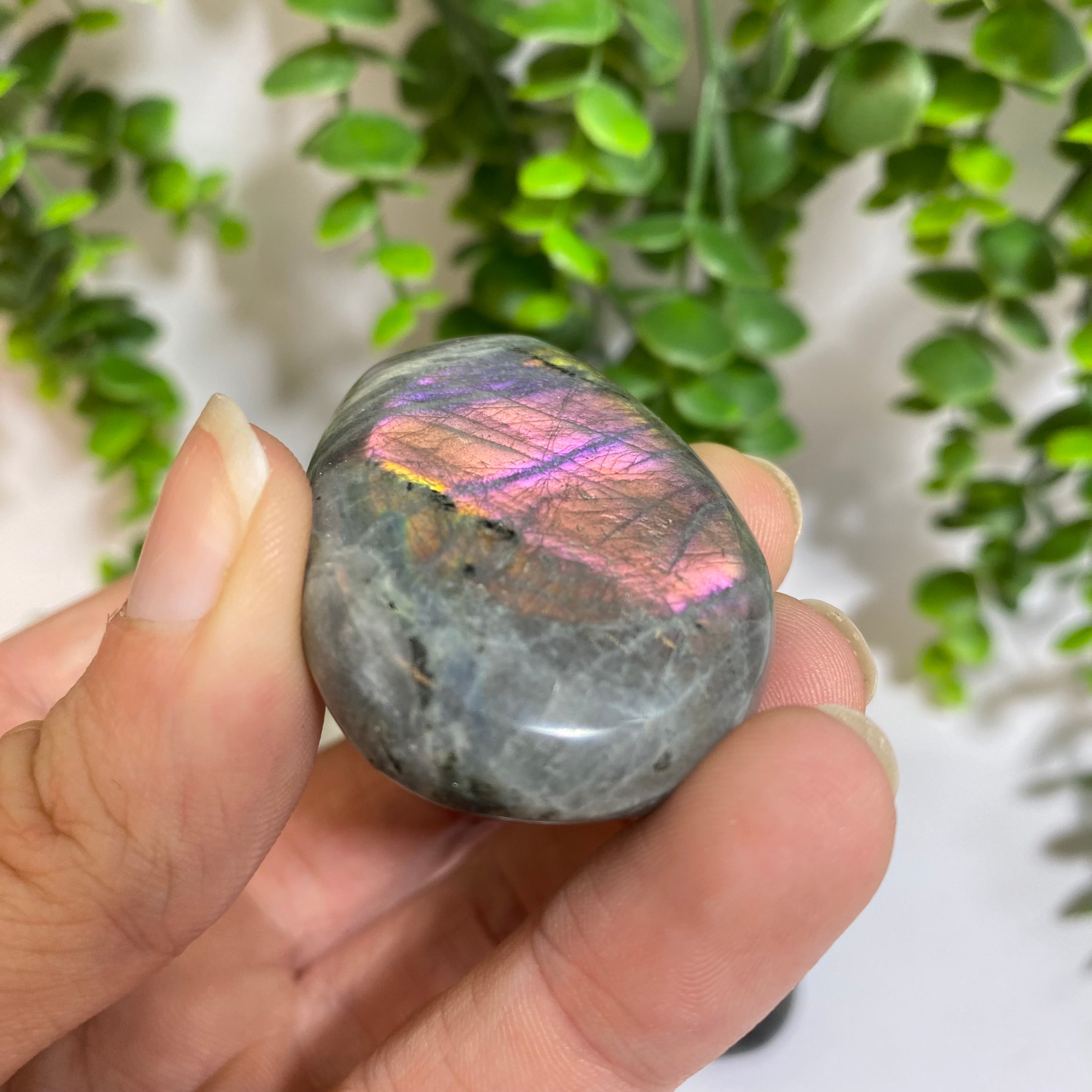 Purple Labradorite Palm Stone