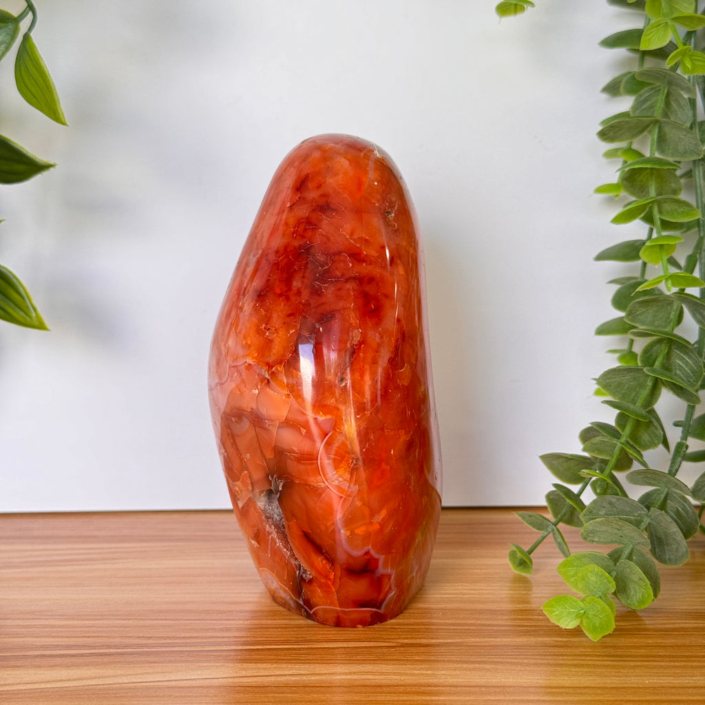 Carnelian Agate Free Form