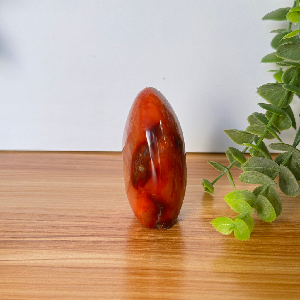 Carnelian Agate Free Form