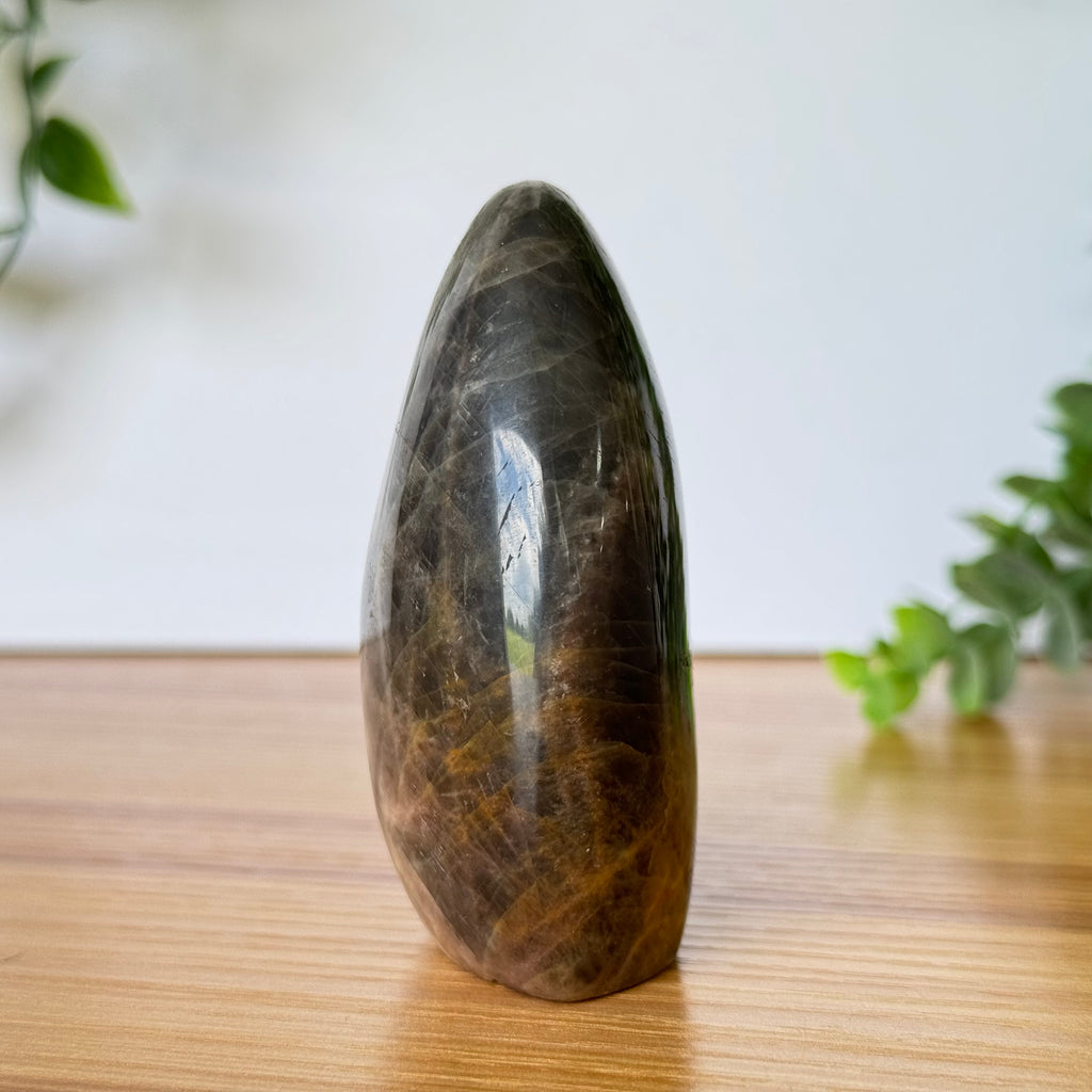 Black Moonstone Free Form