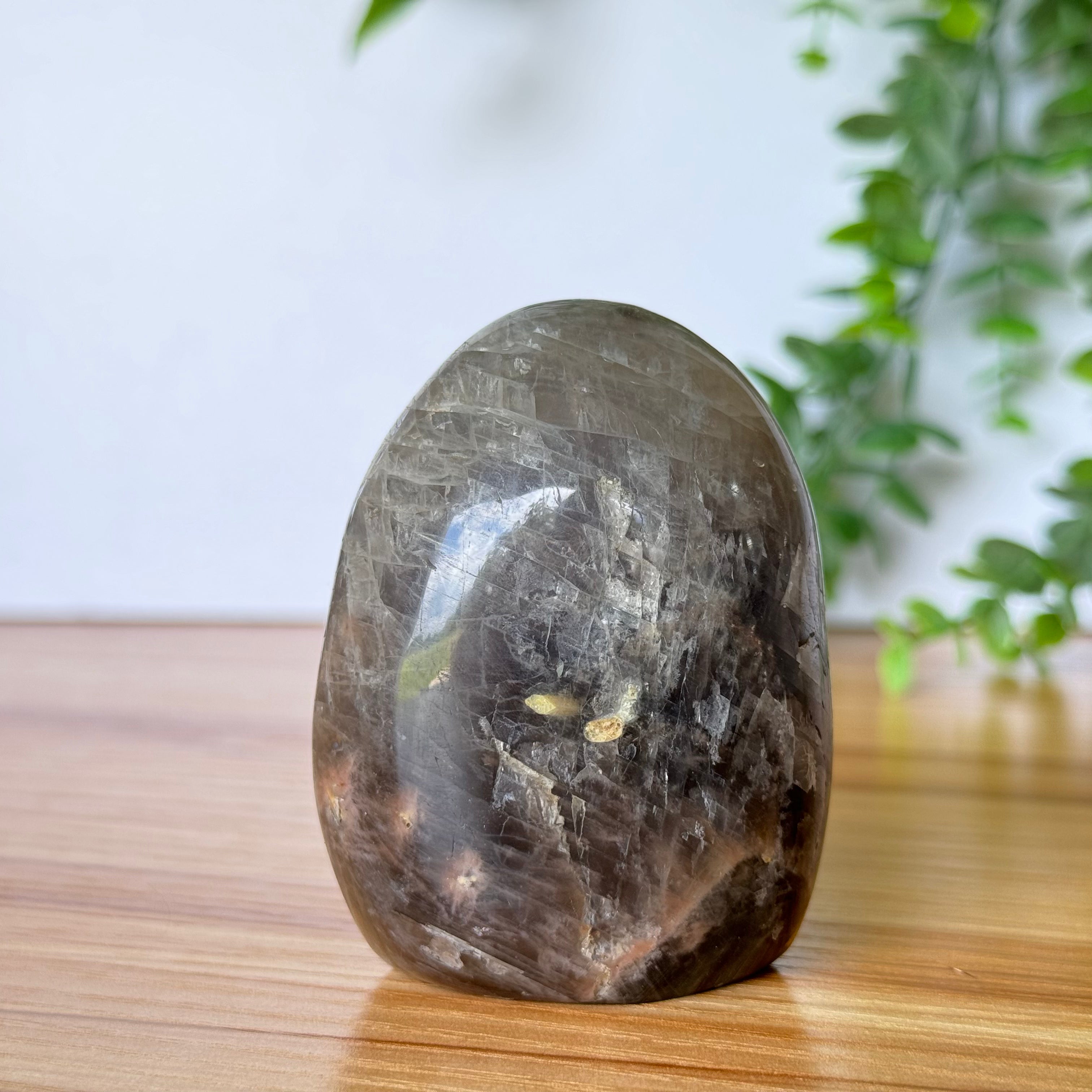 Free form deals Black Moonstone