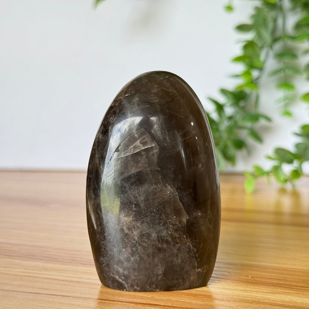 Black Moonstone Free Form