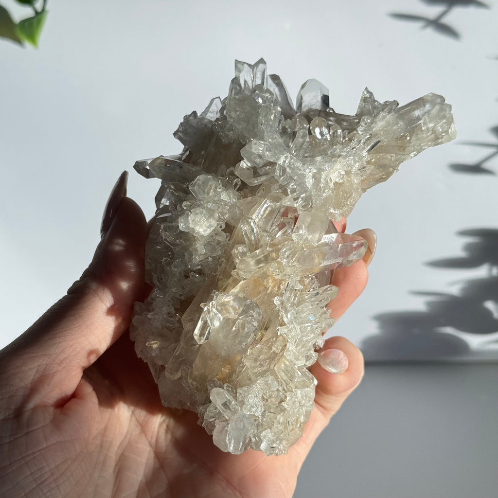 Arkansas Clear Quartz Cluster